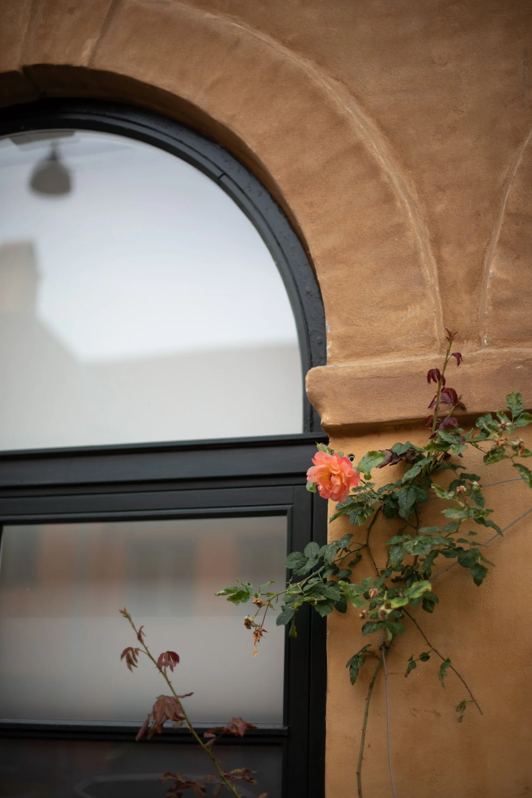 Naturalistic flowers Aesme Studio