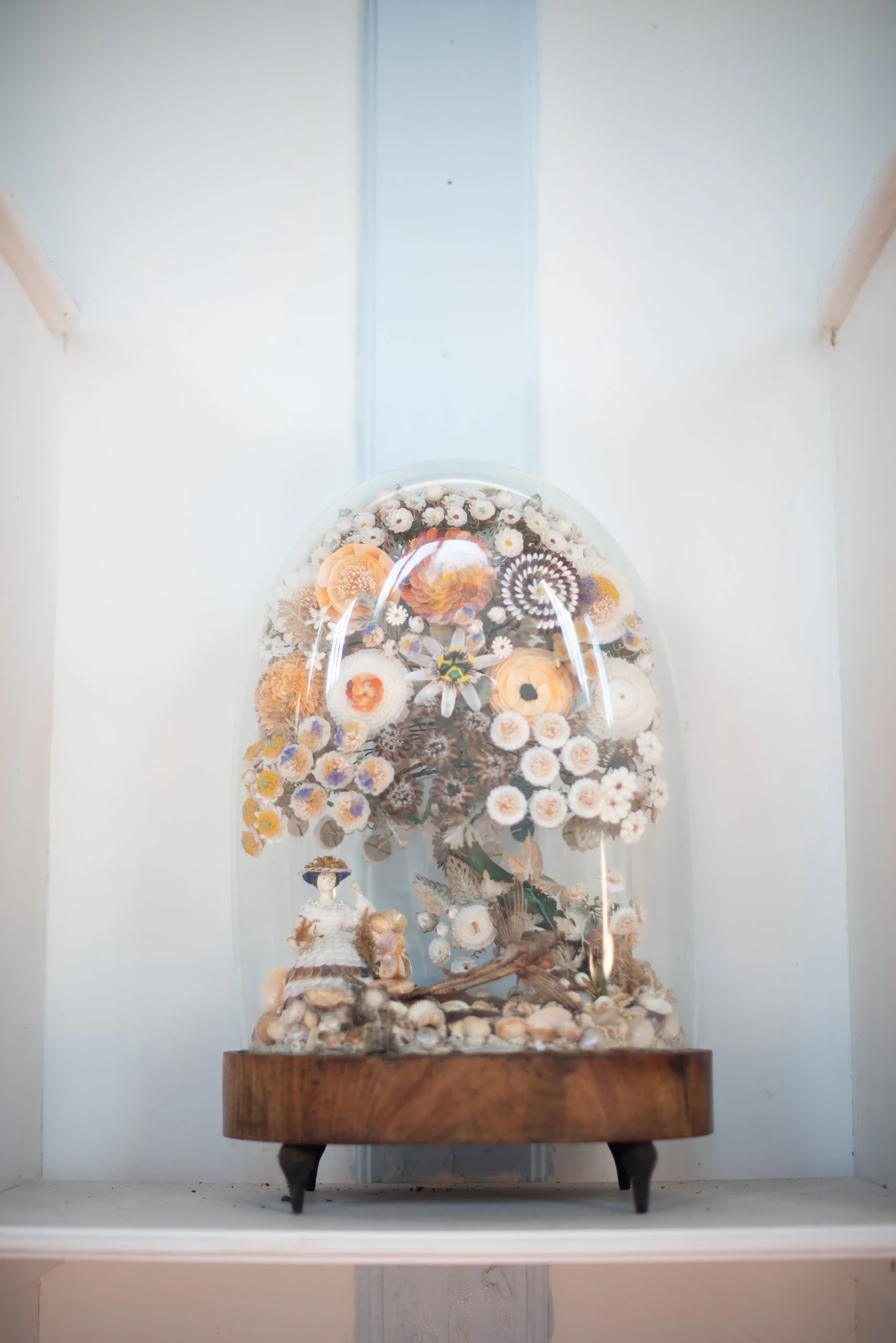 shell museum glandford