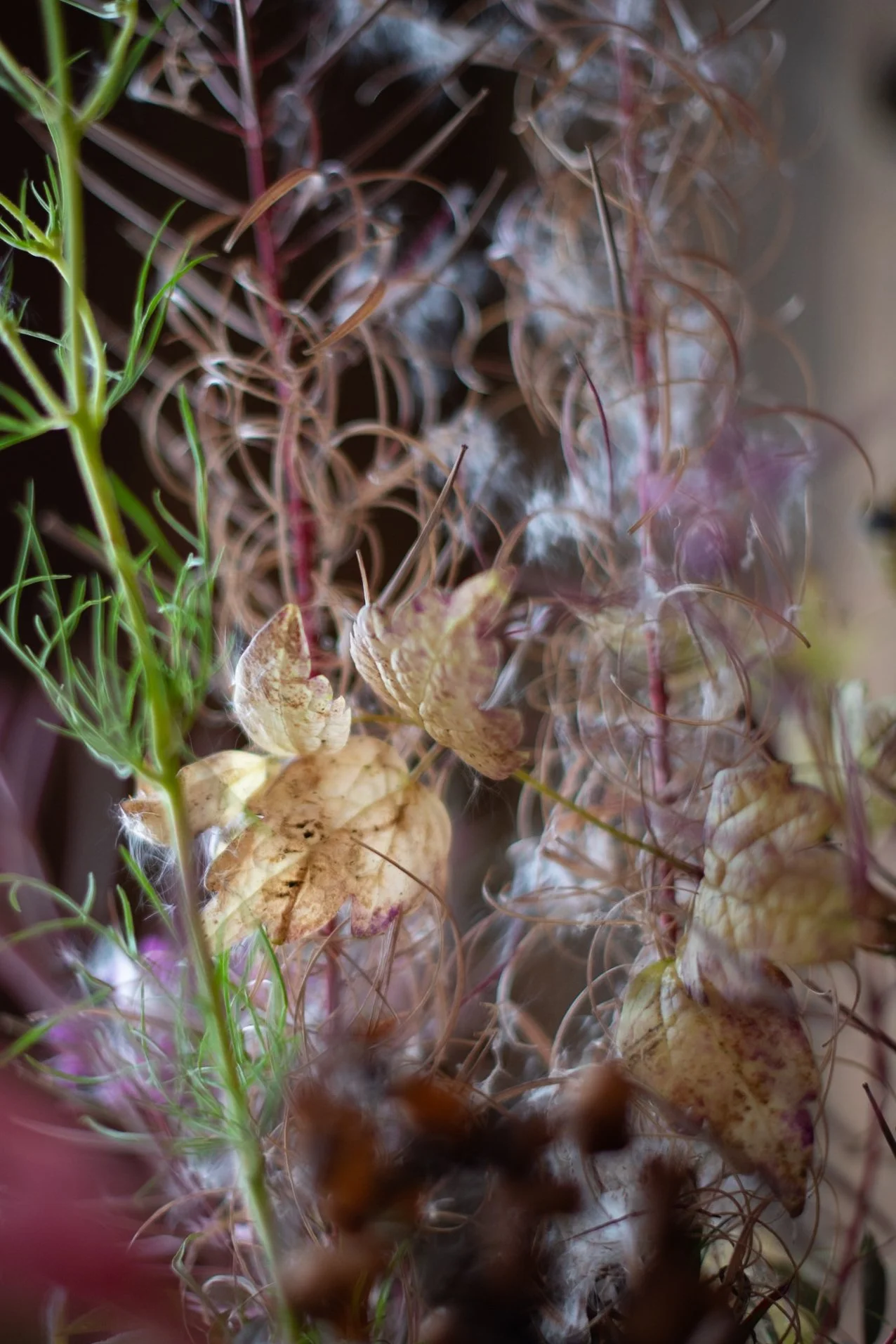 naturalistic flowers