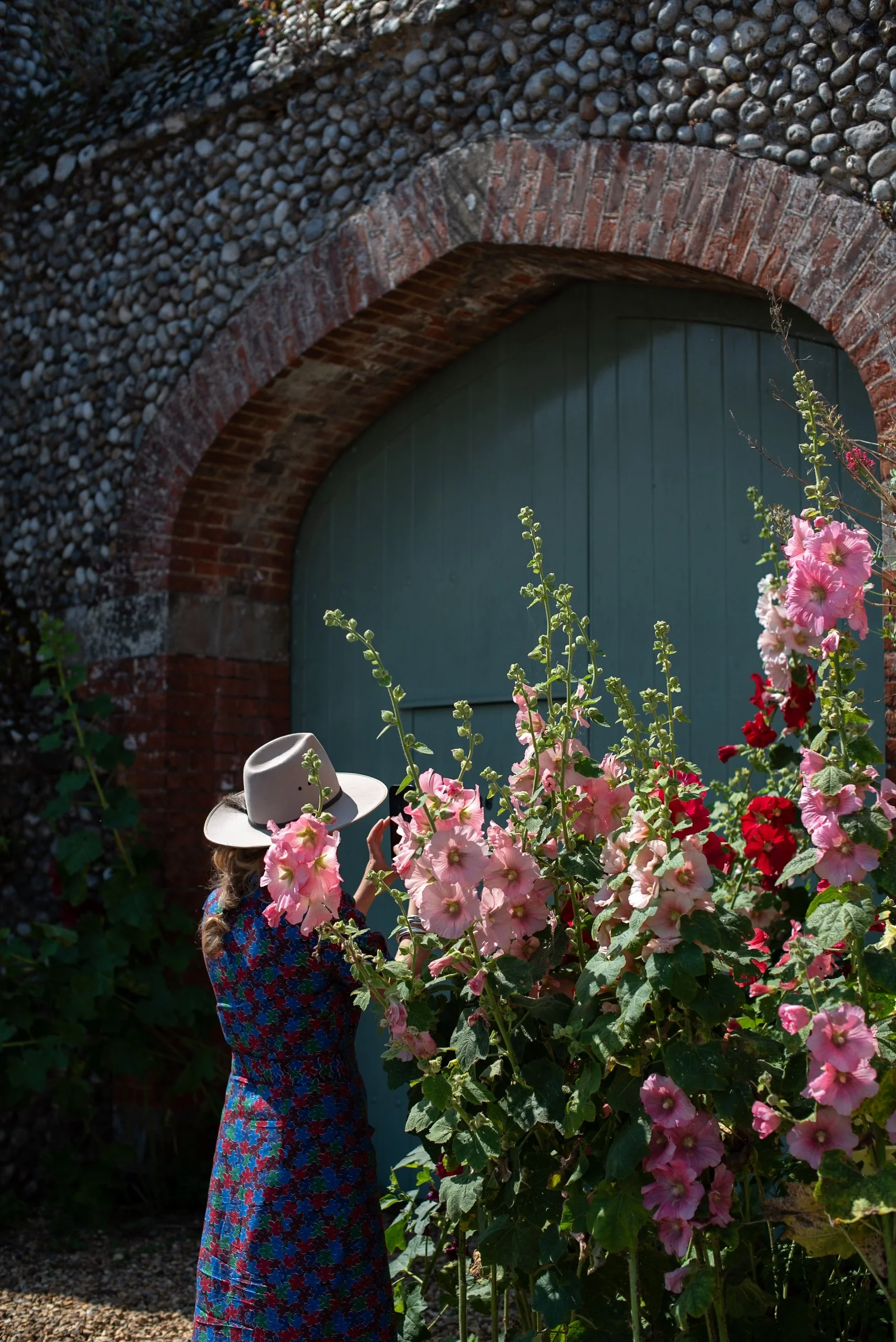 blakeney hollyhocks