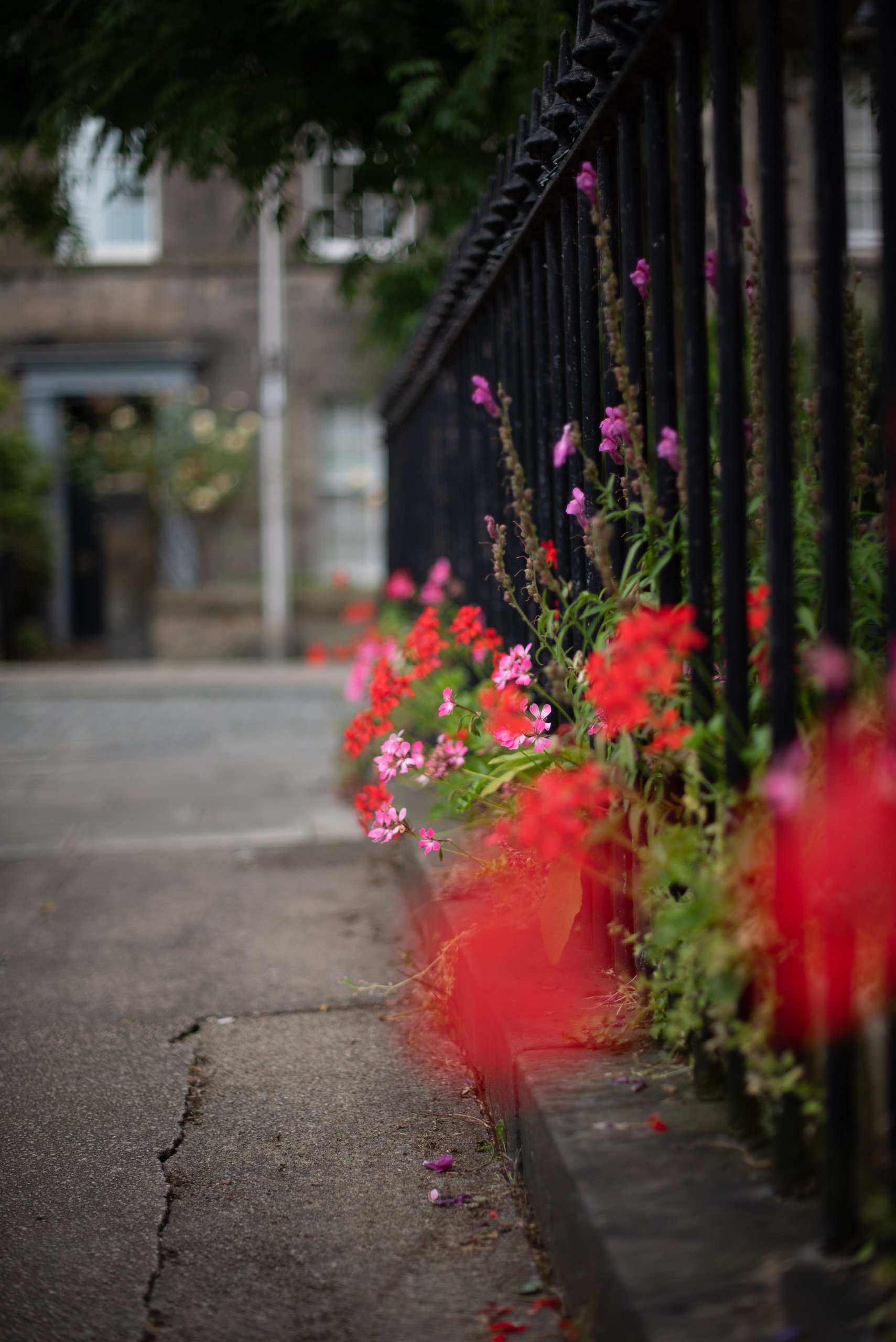 Naturalistic Flowers Aesme Studio
