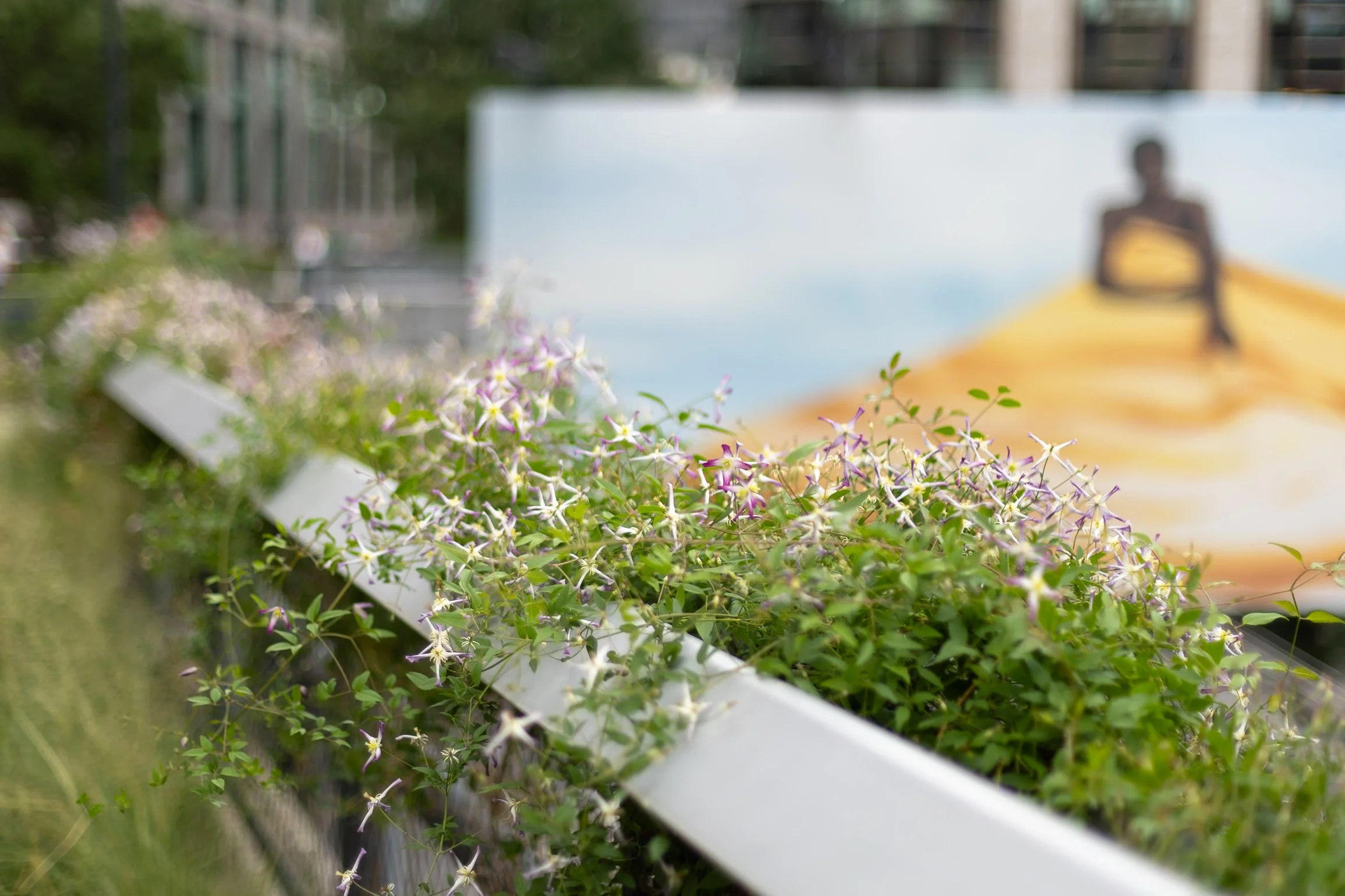 the highline new york