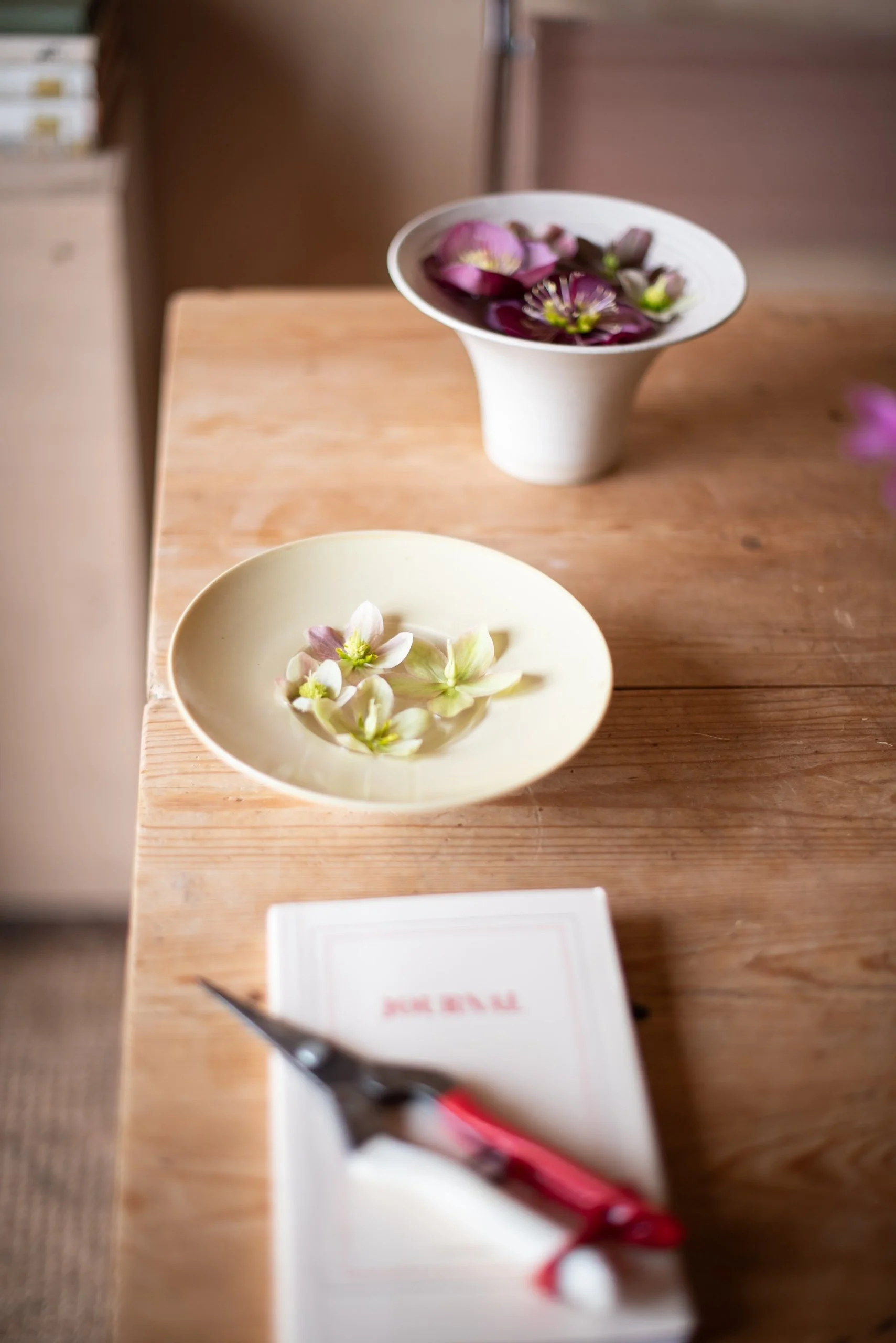 Flowers on Film by Aesme Studio