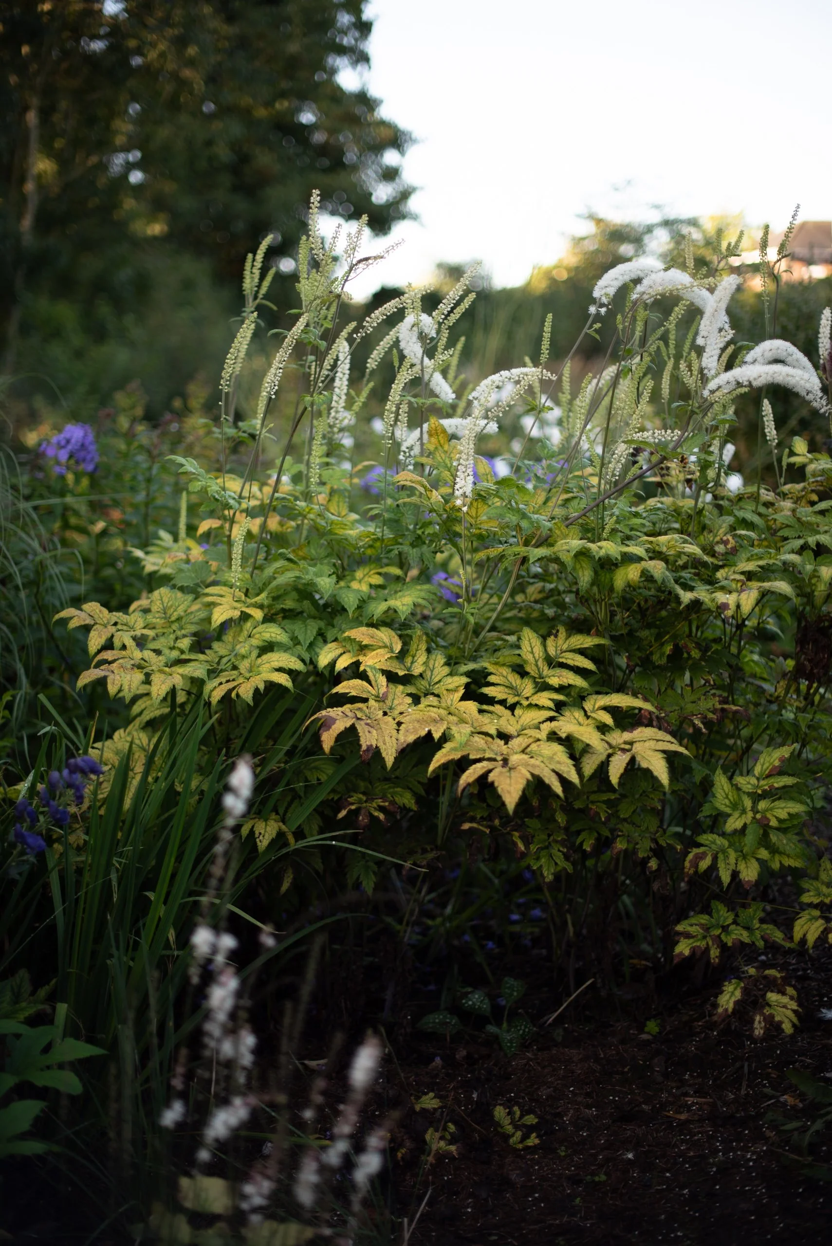 Naturalistic flowers