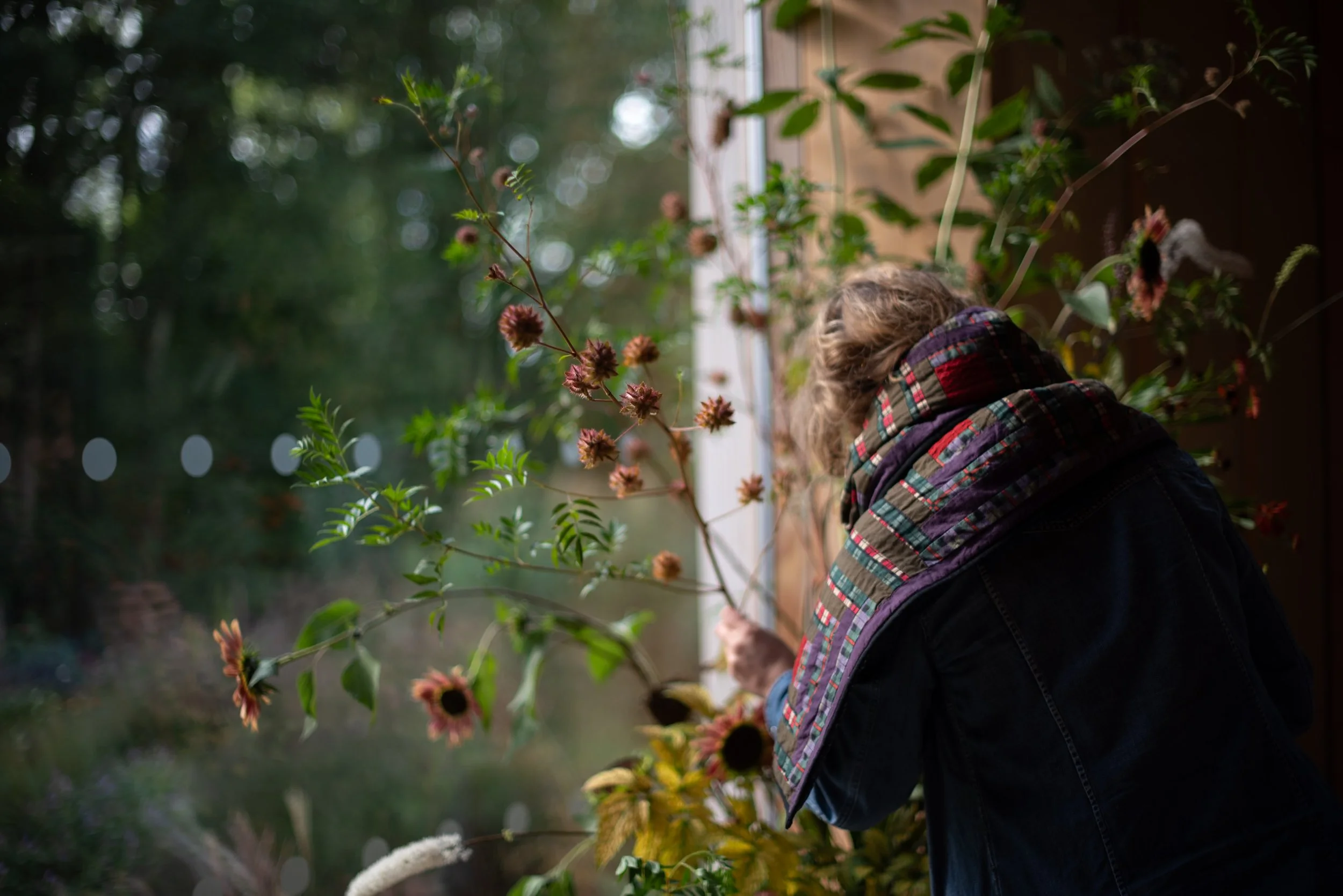 Plant Library Serge Hill