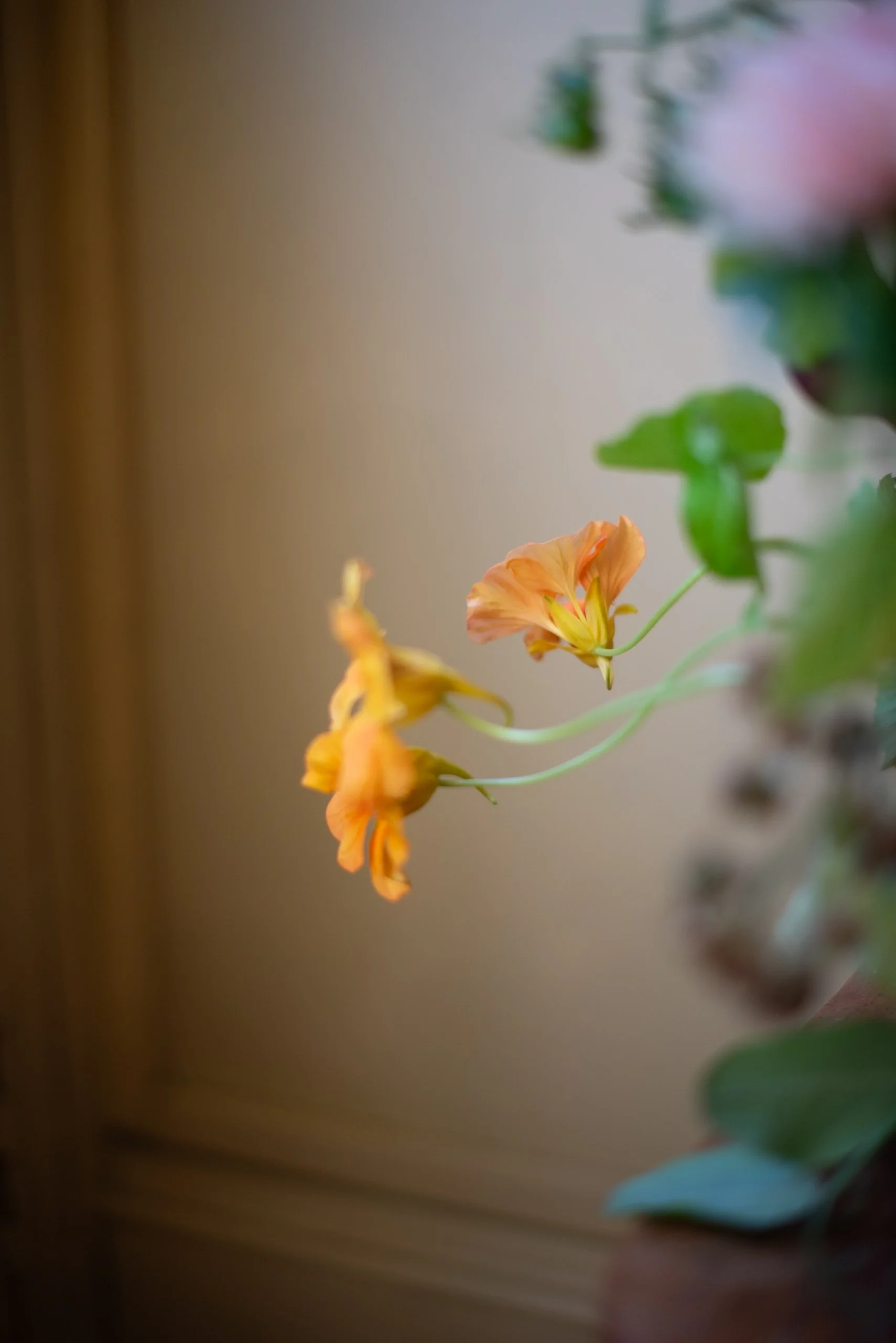 Naturalistic Flowers Aesme Studio