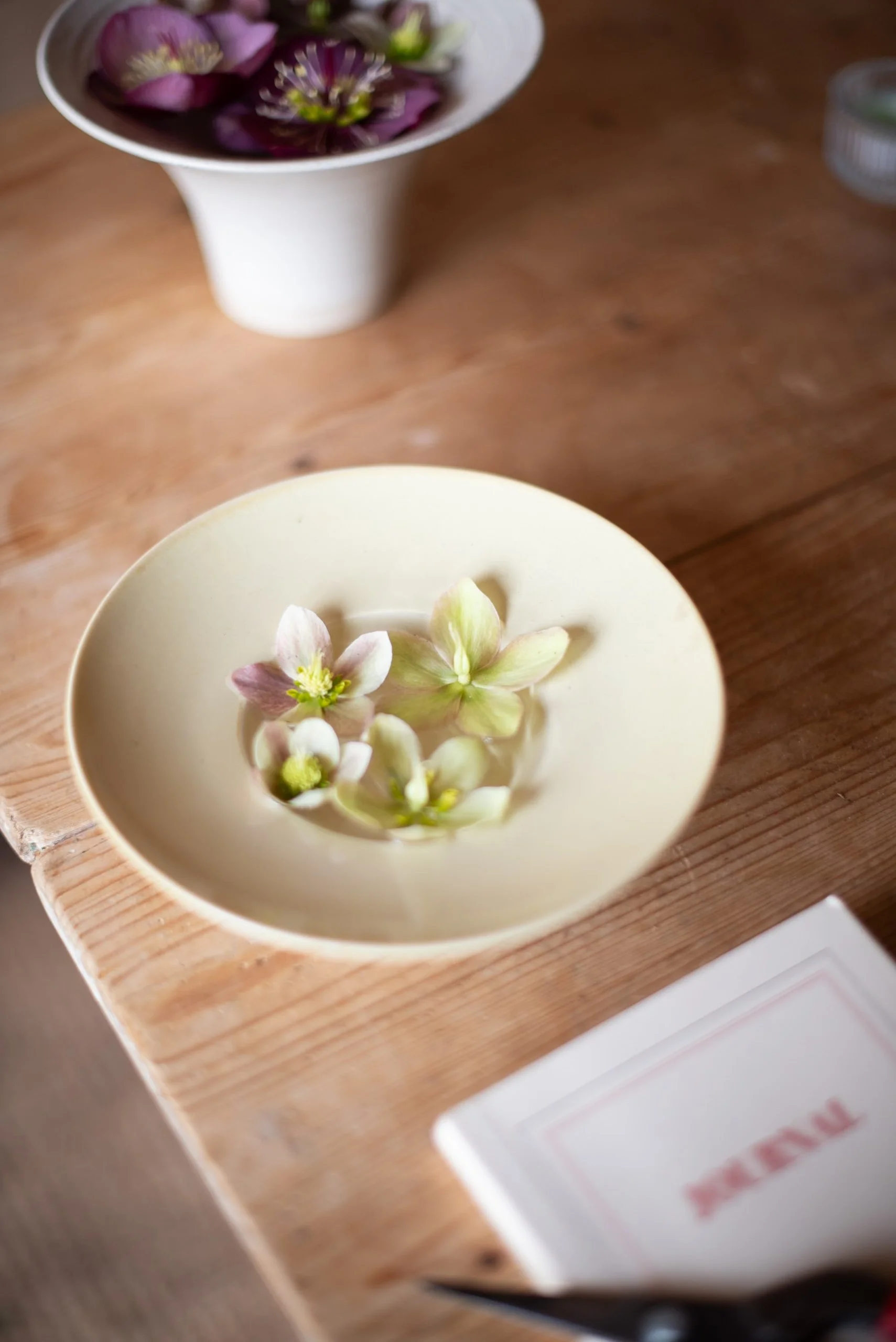 Hellebores in a bowl