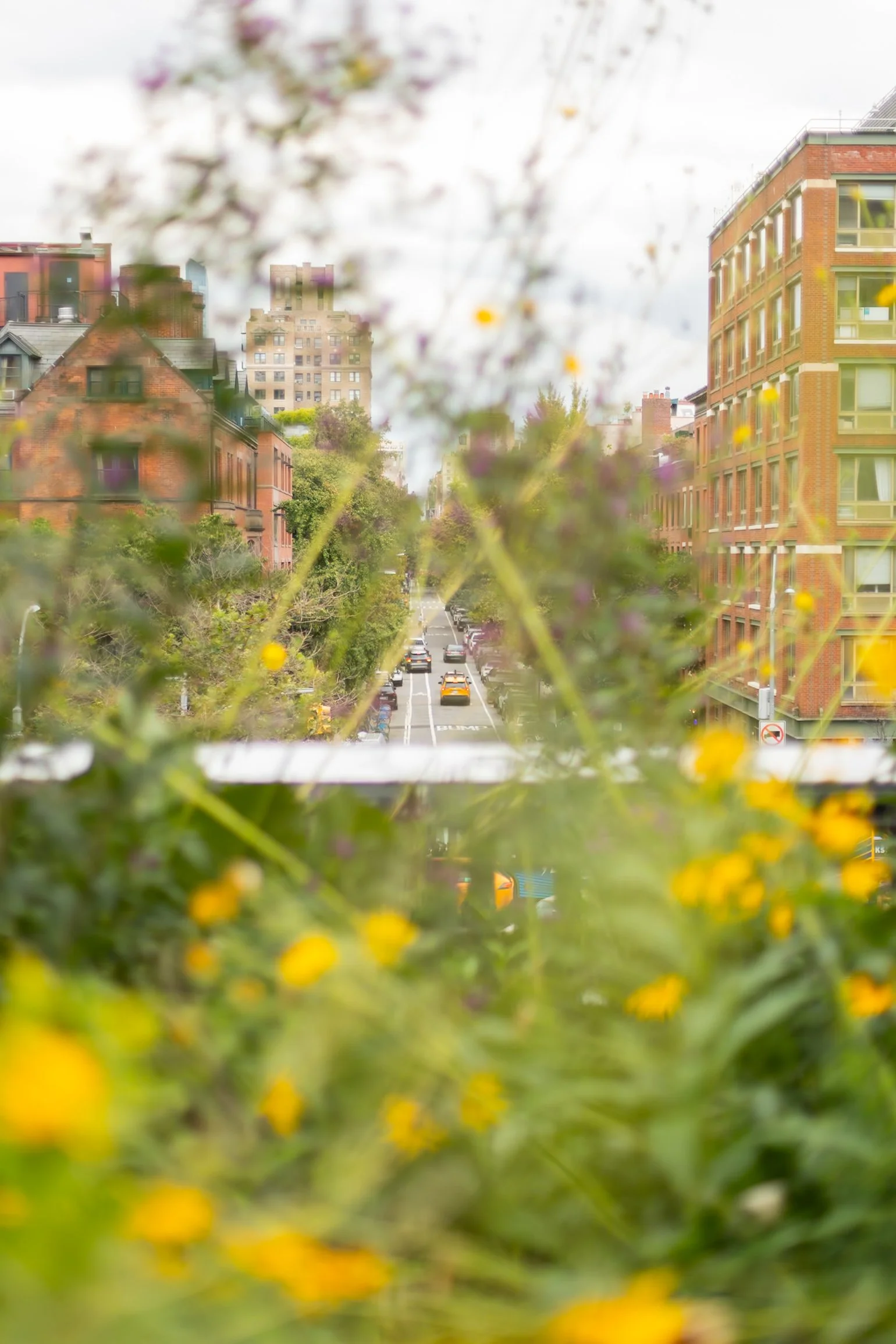 the highline new york