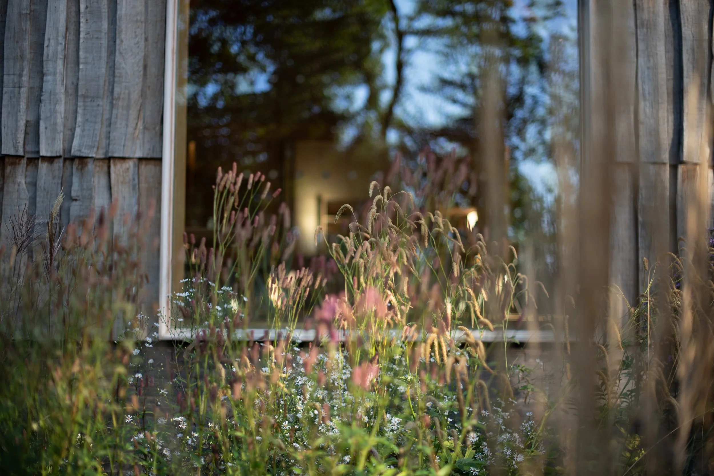 The Plant Library, Serge Hill