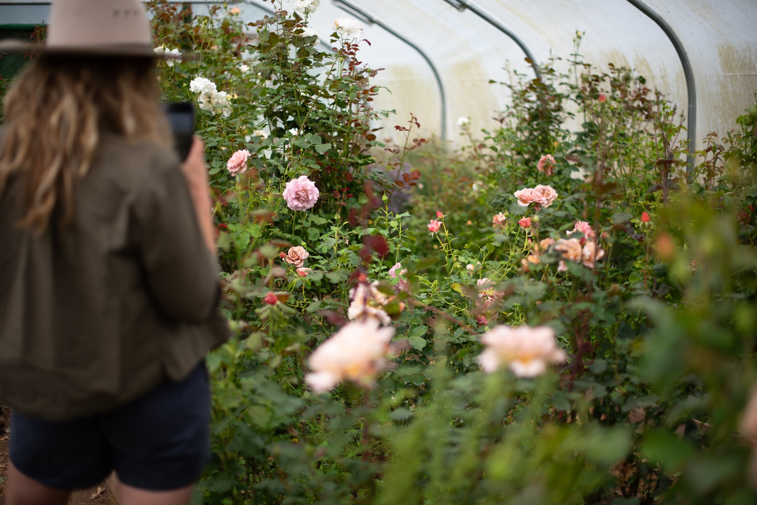 Naturalistic Flowers Aesme Studio