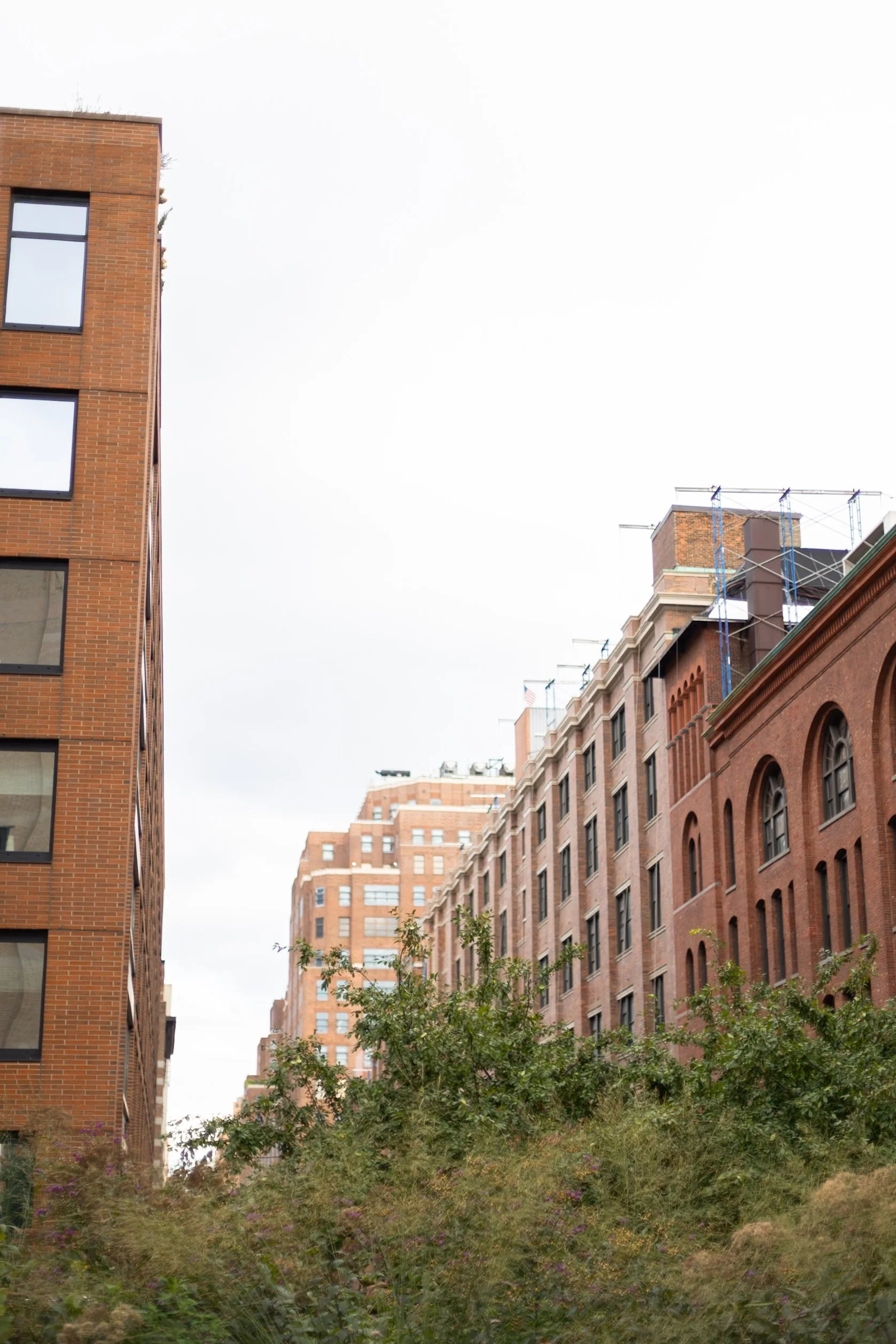 the highline new york