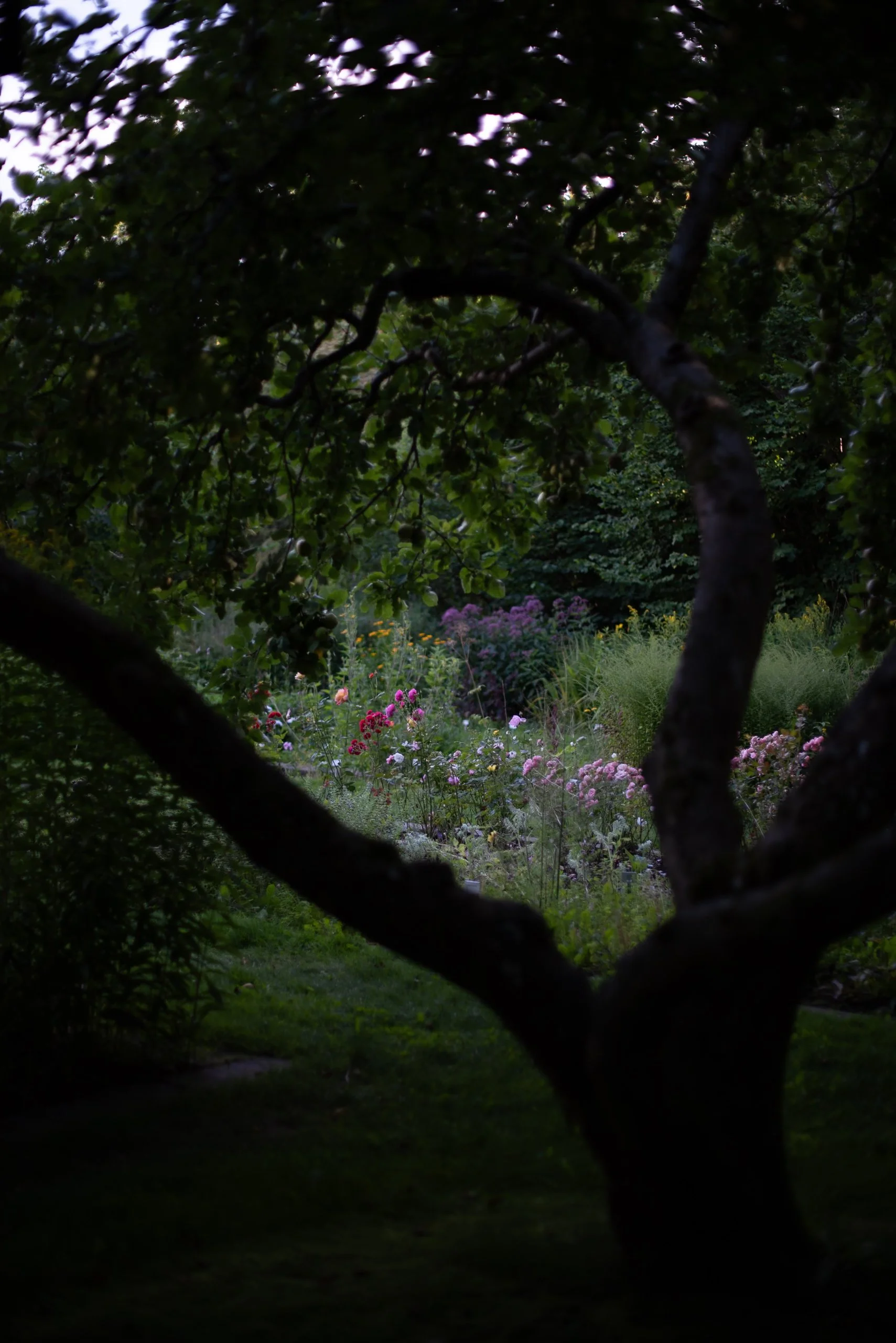 The garden Rungstedlund