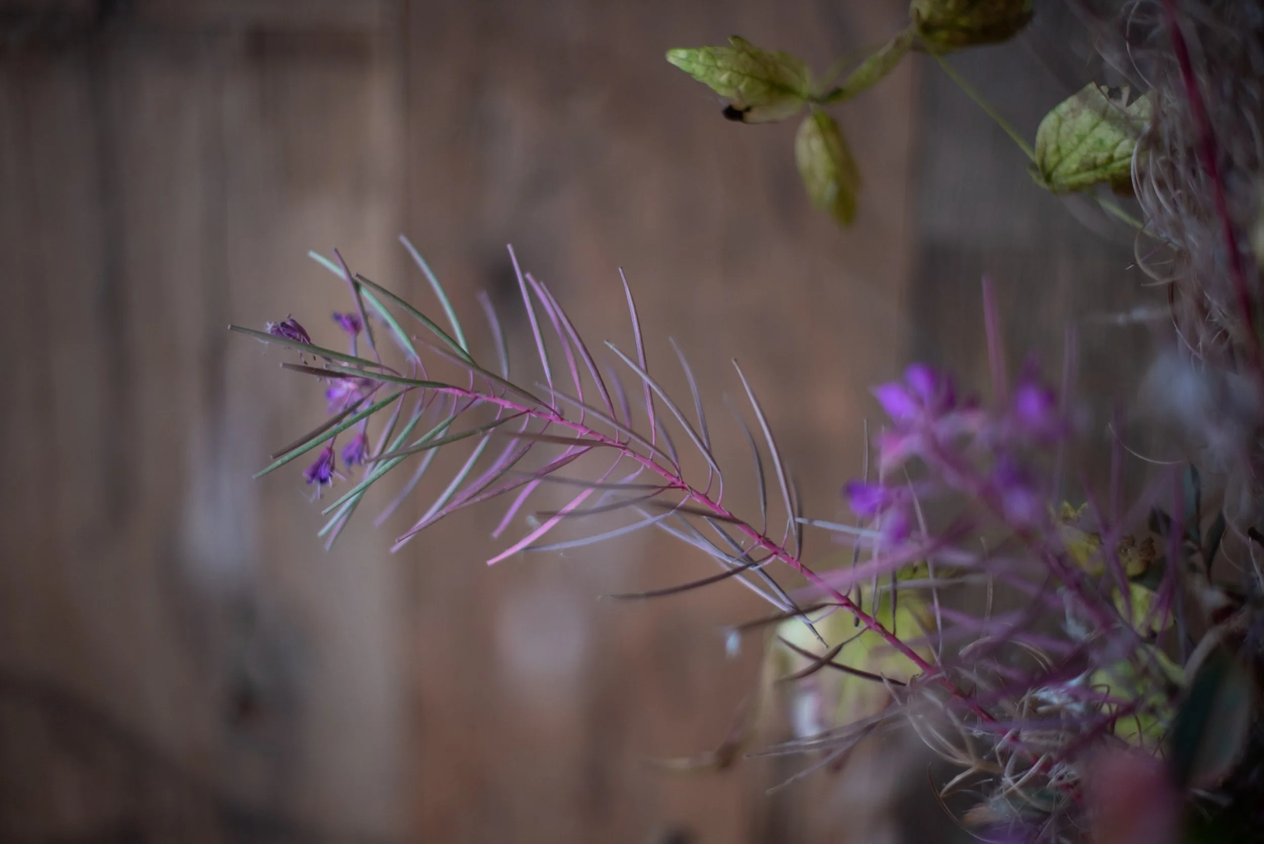 naturalistic flowers