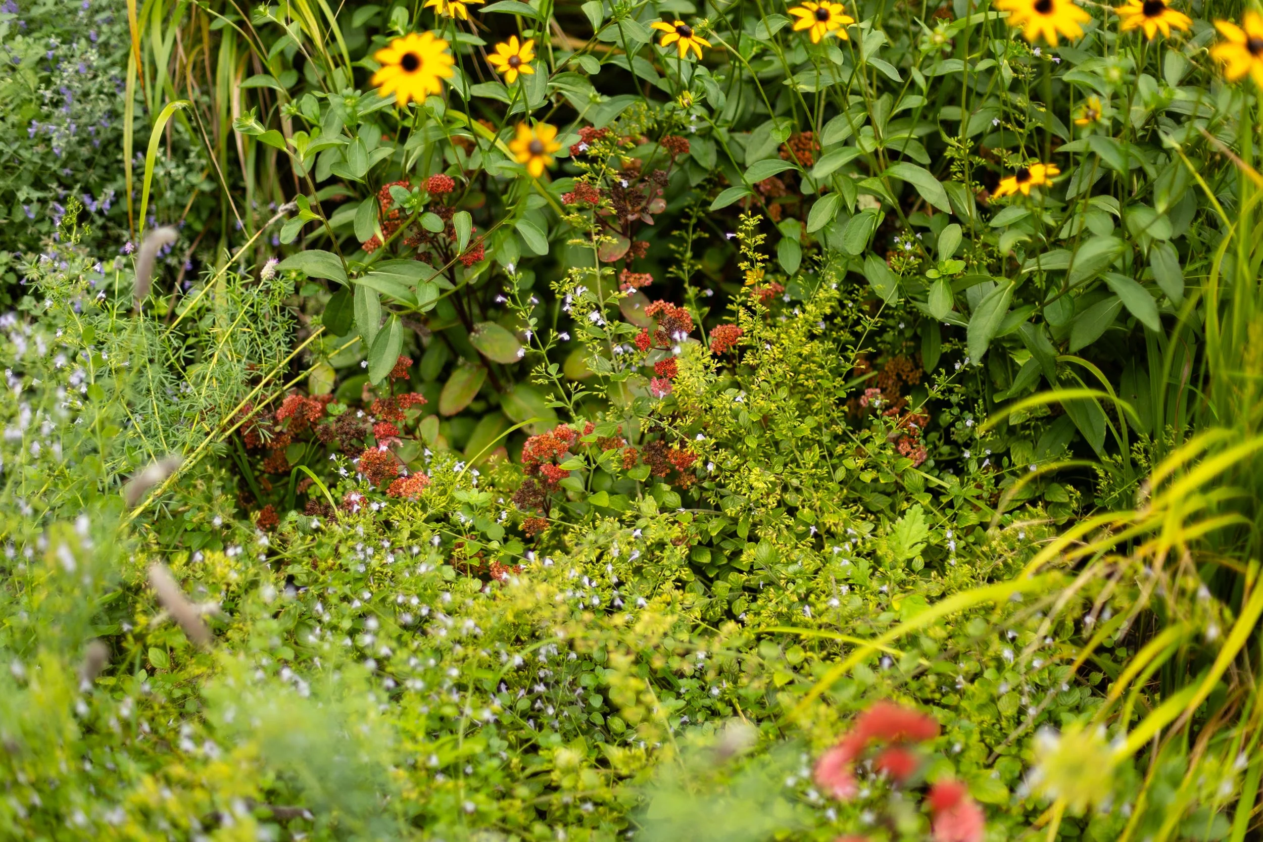 the highline new york