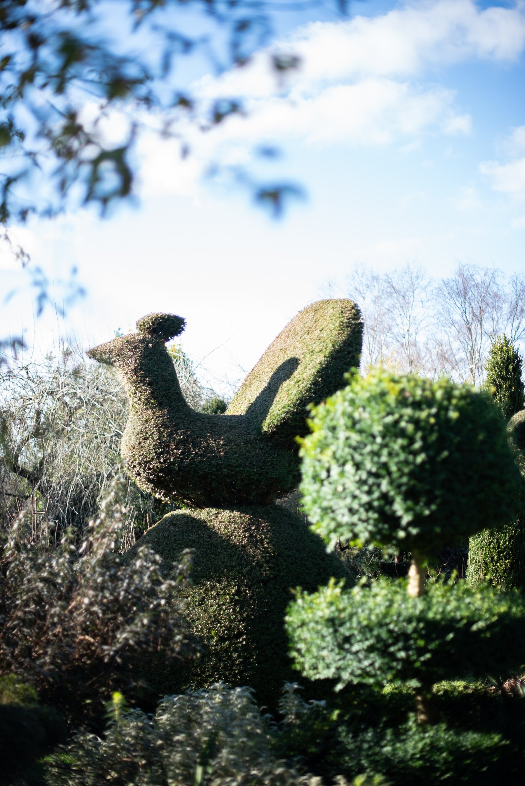Balmoral Cottage Charlotte Molesworth