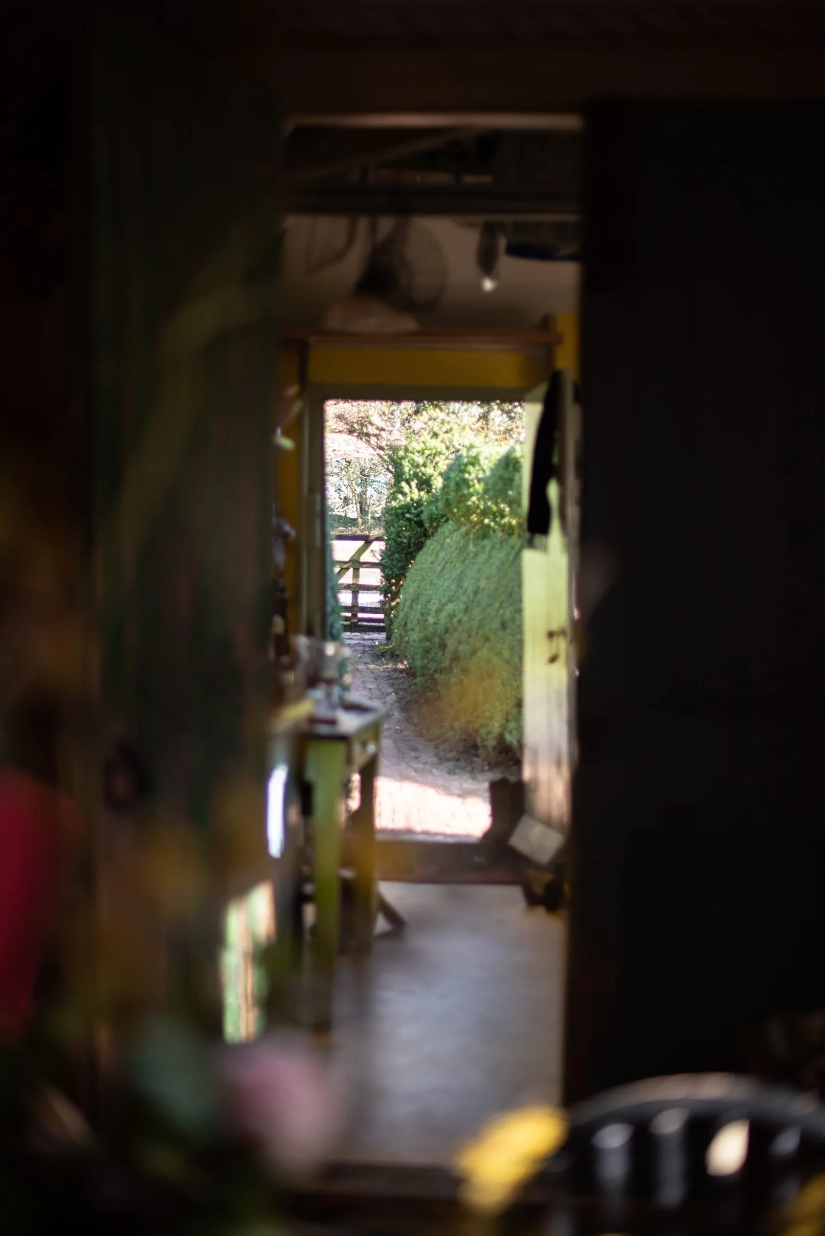 Balmoral Cottage Charlotte Molesworth