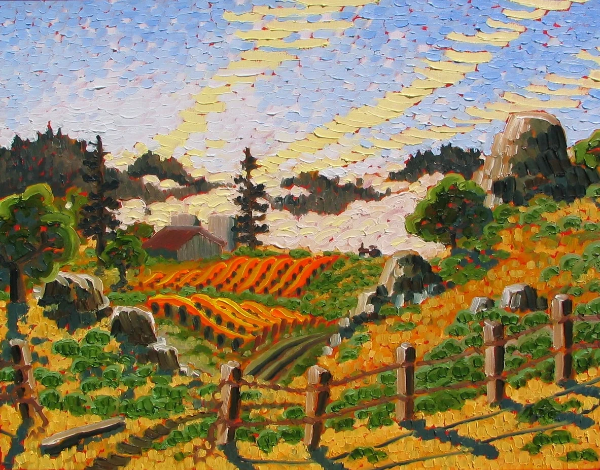 Vineyards With Fence