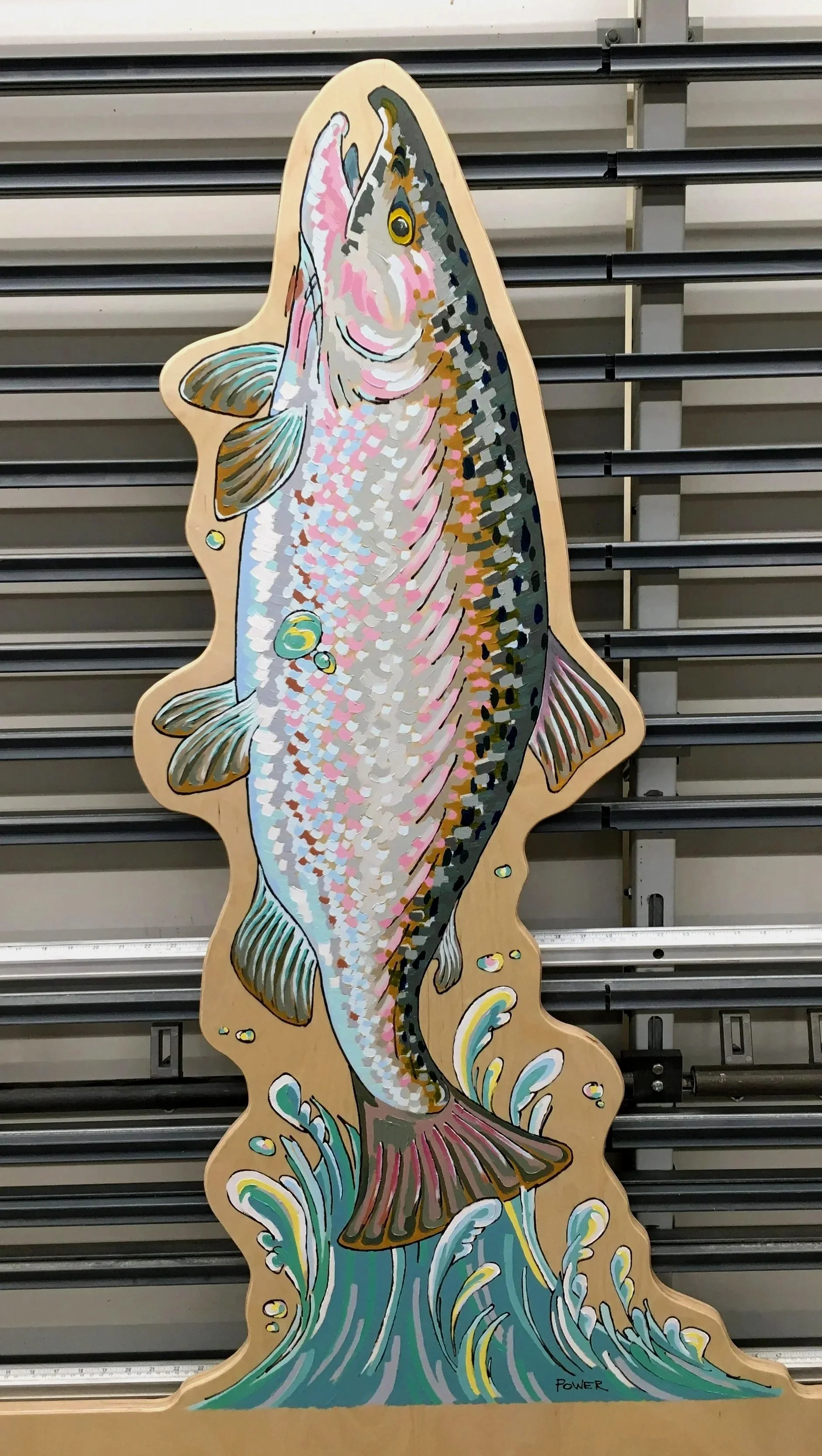 Salmon for Seymour Center