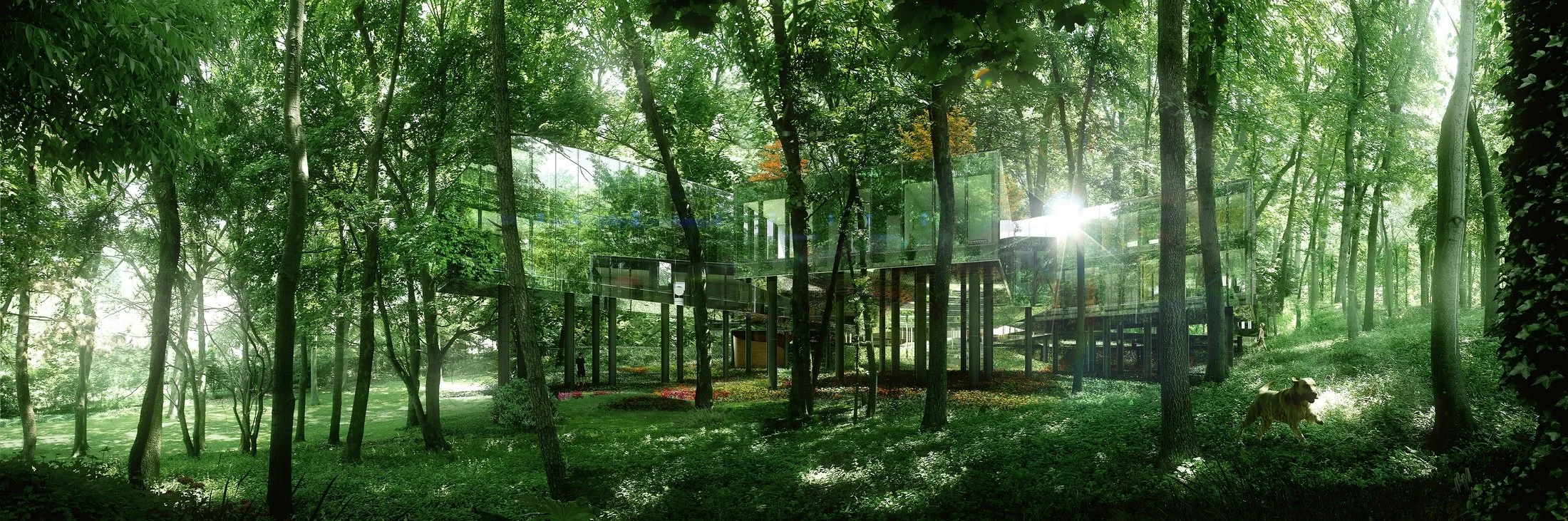 REX / NECKLACE RESIDENCE / USA