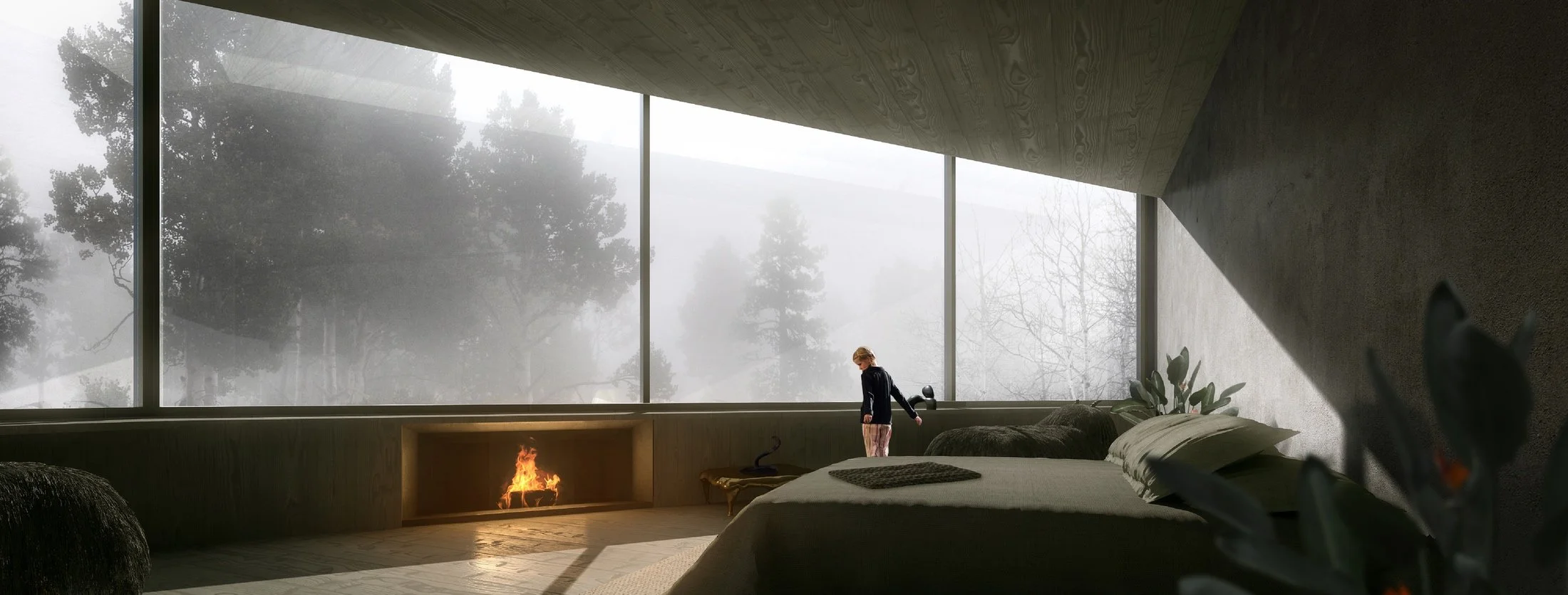 OPPENHEIM ARCHITECTURE / HOUSE / ASPEN / USA