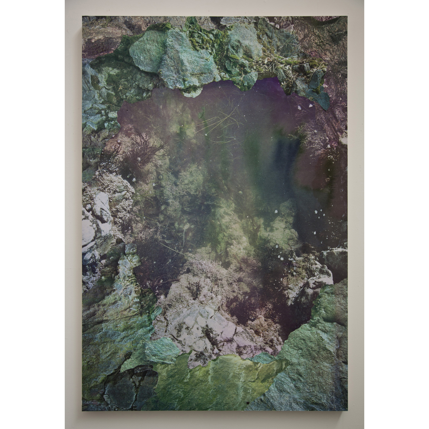   Tidal Pool I,&nbsp;  archival pigment prints, collage on panel, 54" x 43", 2012.  