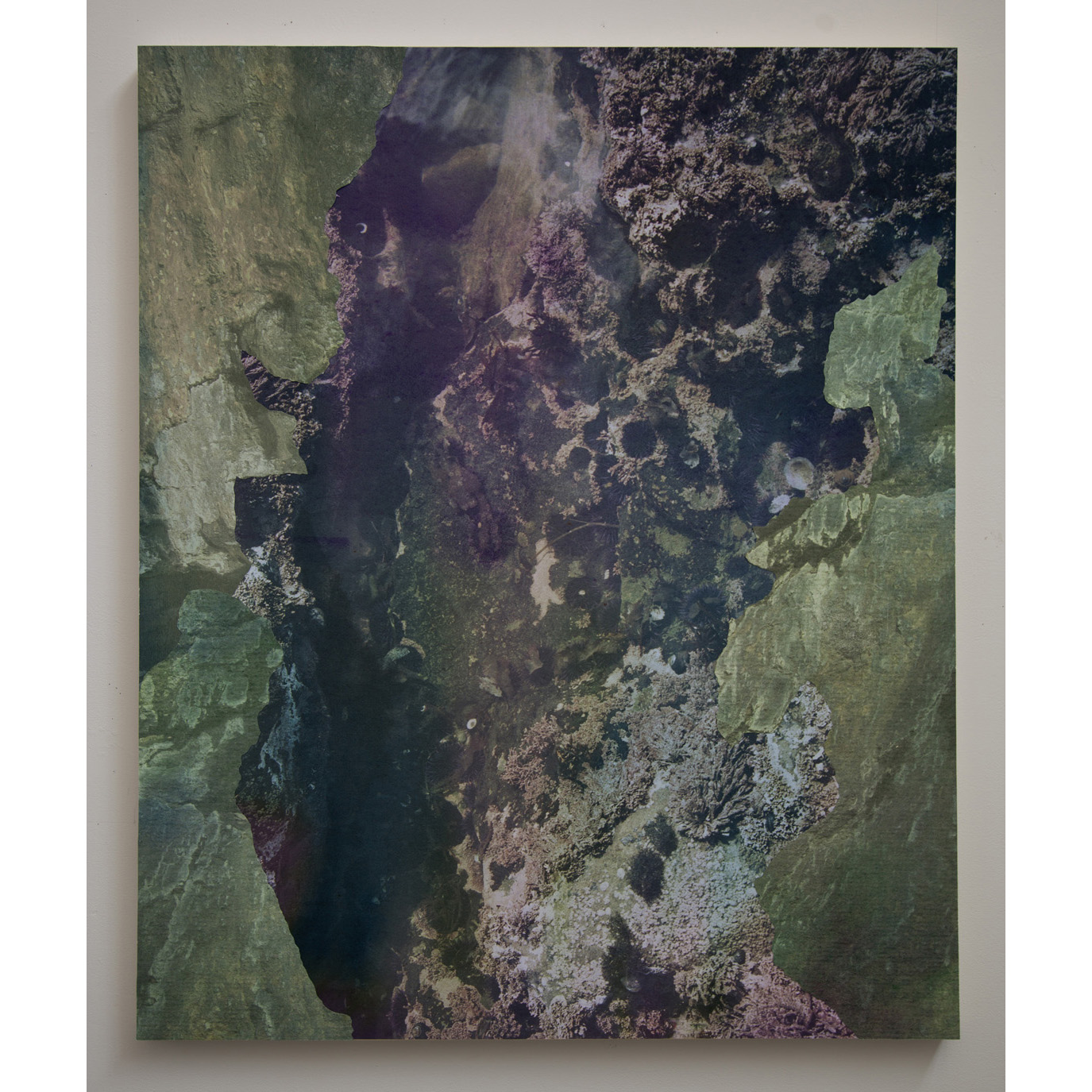Tidal Pool II, archival pigment prints, collage on panel, 54" x 43", 2012. 