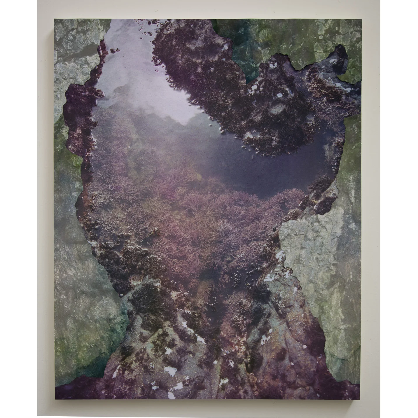 Tidal Pool III, archival pigment prints, collage on panel, 54" x 43", 2012.