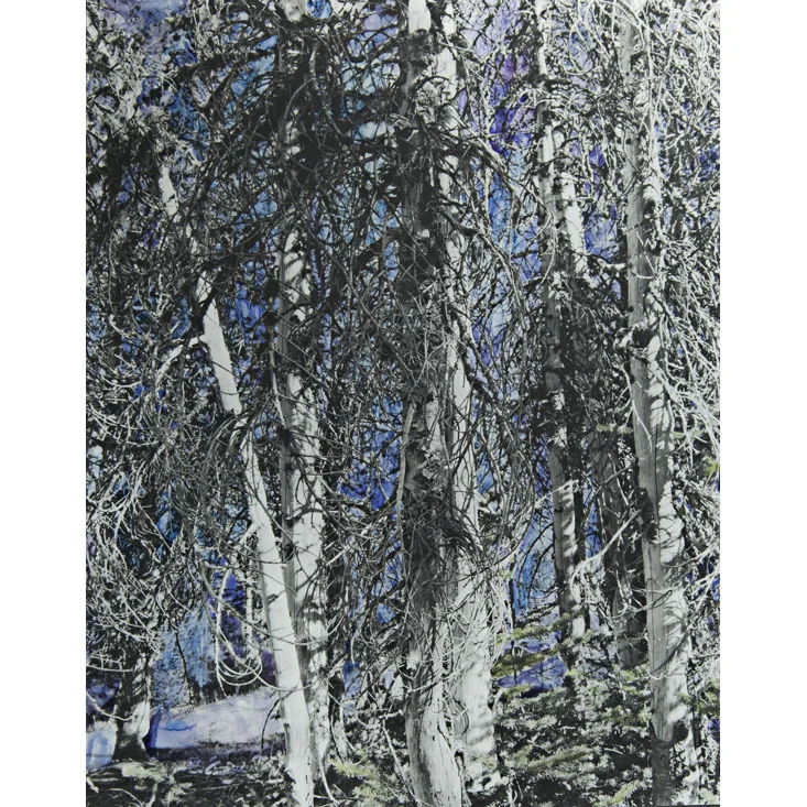Silver Gelatin Cobalt, Watercolor on silver gelatin print, 16" x 20",Unique, 2013. 