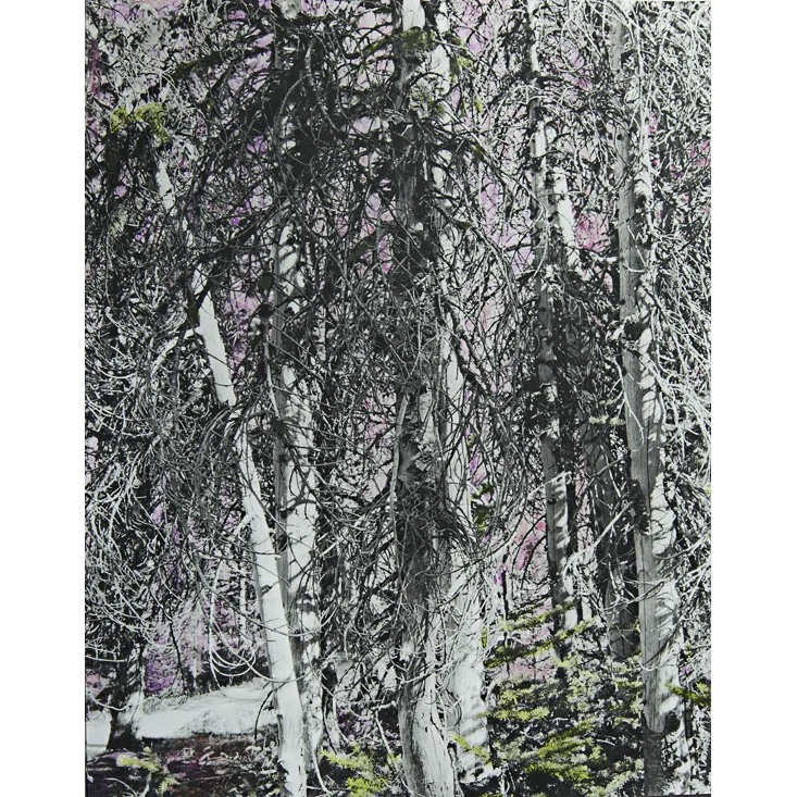 Silver Gelatin Cobalt Violet, Watercolor on silver gelatin print, 16" x 20",Unique, 2013. 