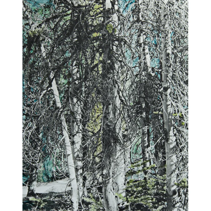 Silver Gelatin Green, Watercolor on silver gelatin print, 16" x 20",Unique, 2013. 