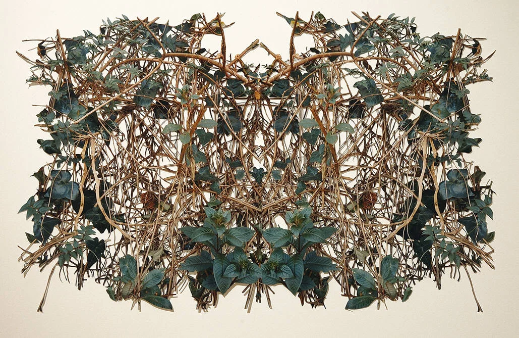 Cartouche IV, hand-cut c-prints, collage, 24" x 40", 2006. 