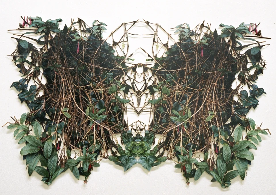 Cartouche II hand-cut c-prints, collage, 14" x 22", 2006. 