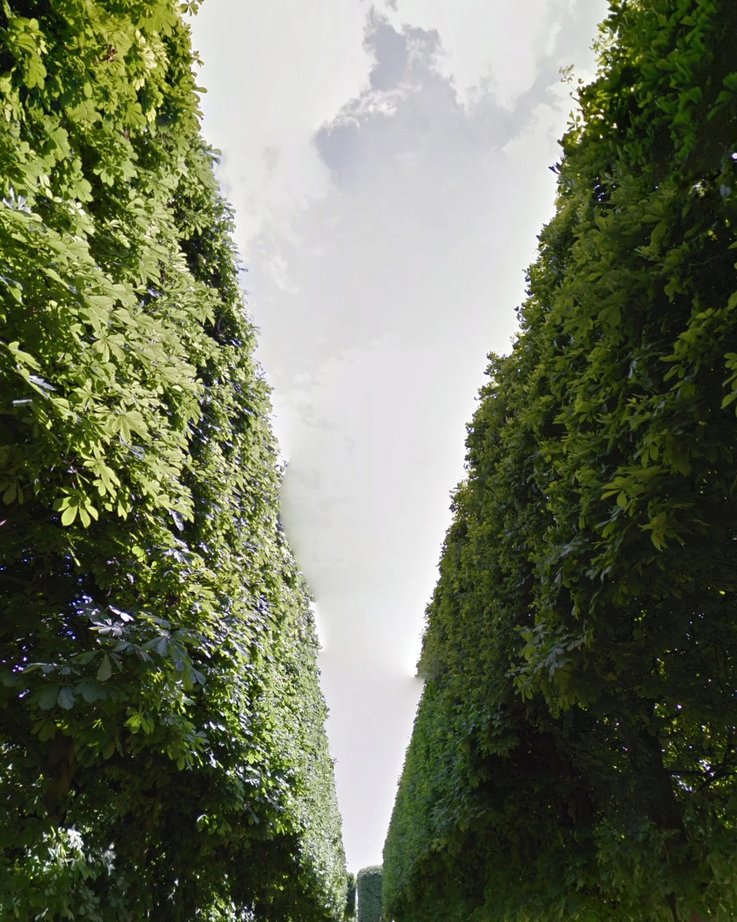 Screen Shot 2020-05-04 at 9.19.57 PM.jpg