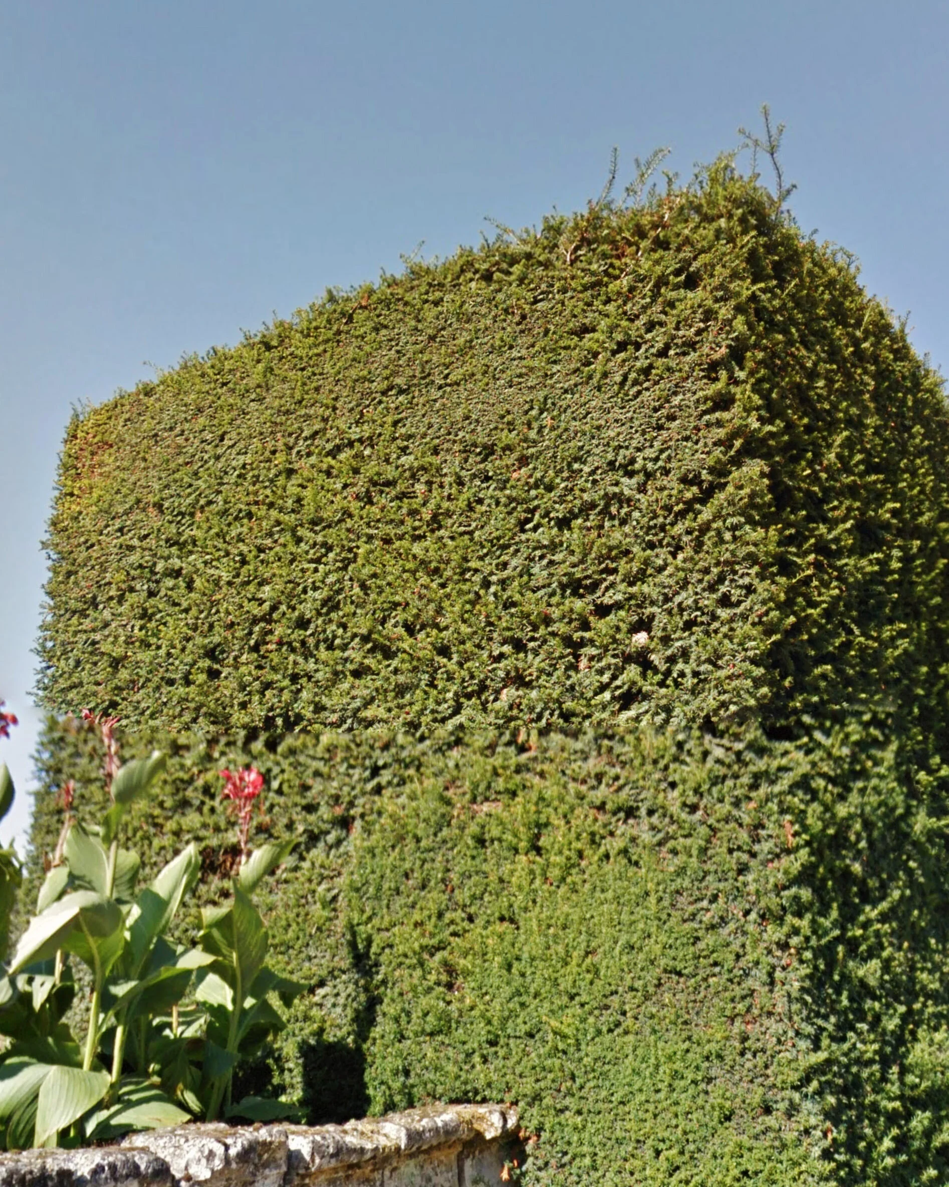 Screen Shot 2020-03-12 at 12.30.26 PM.jpg