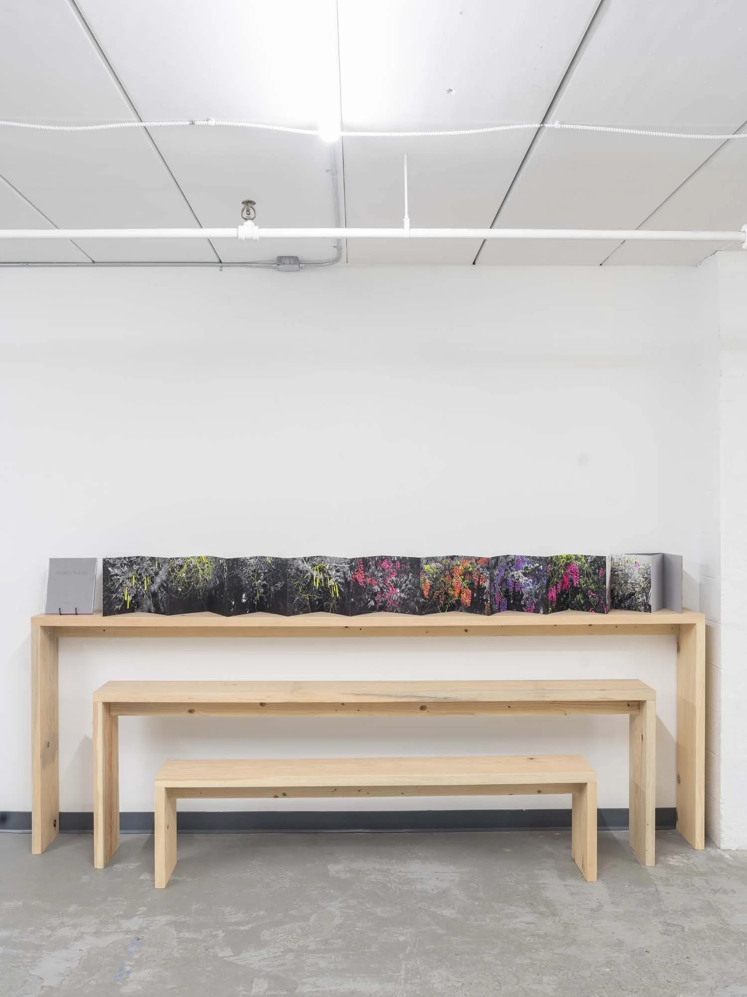 TG-34.jpg