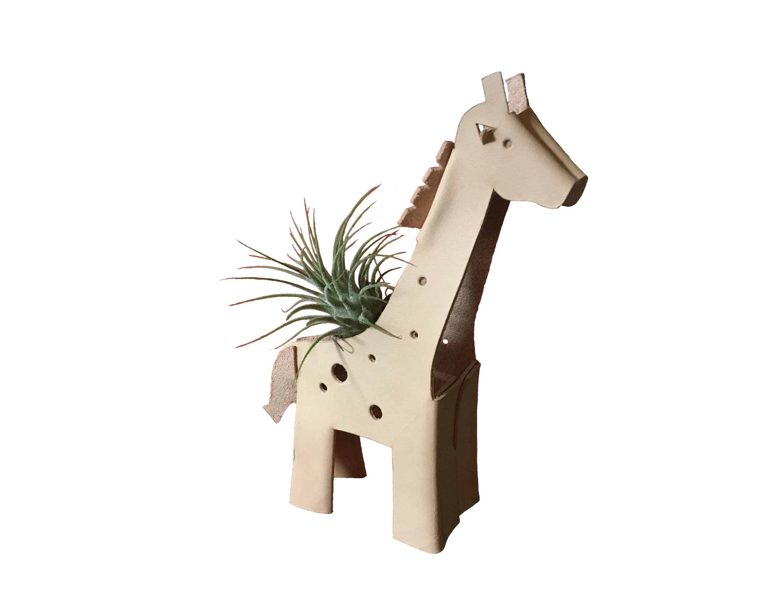 Paul the Giraffe air plant holder