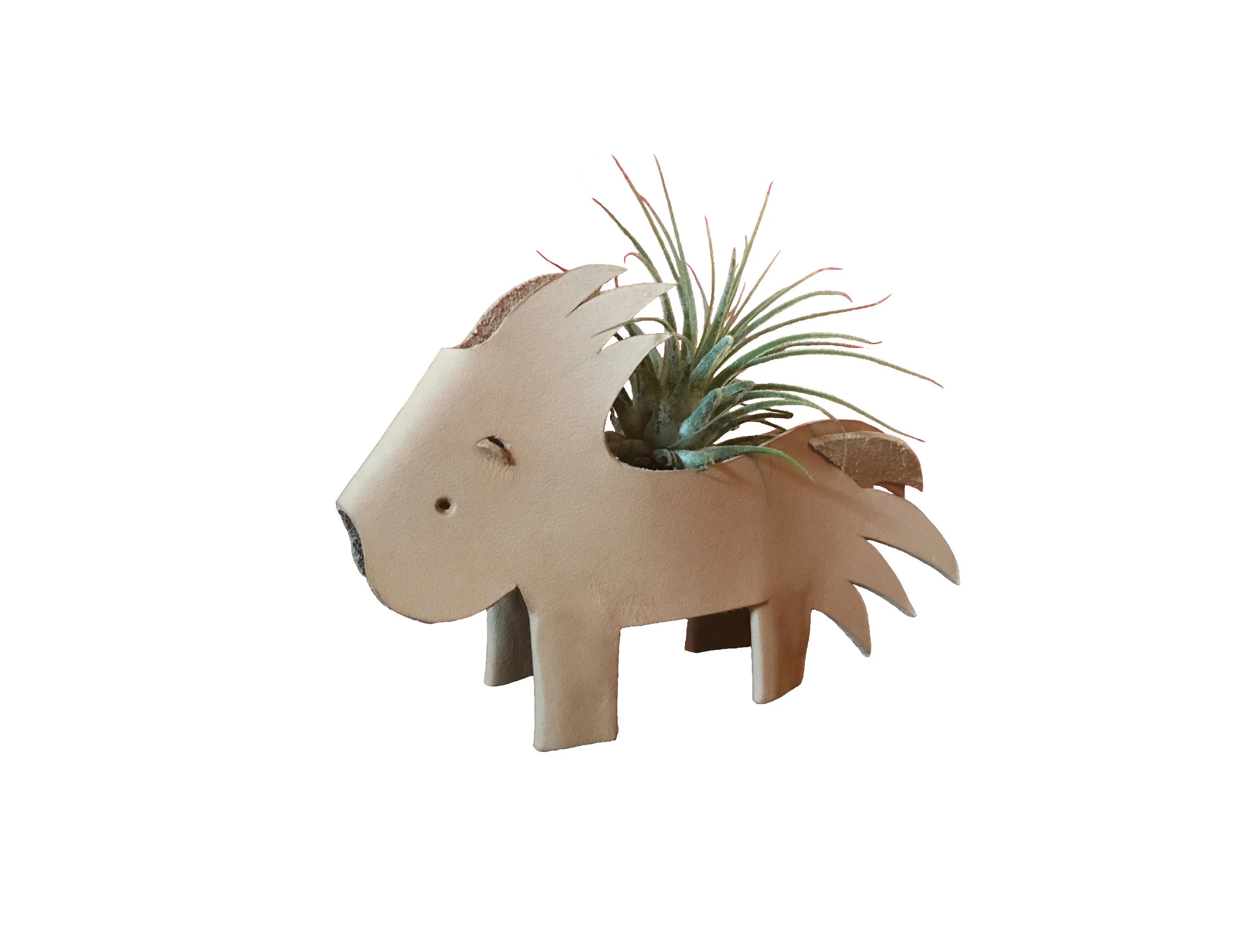 Peggy the Porcupine air plant holder