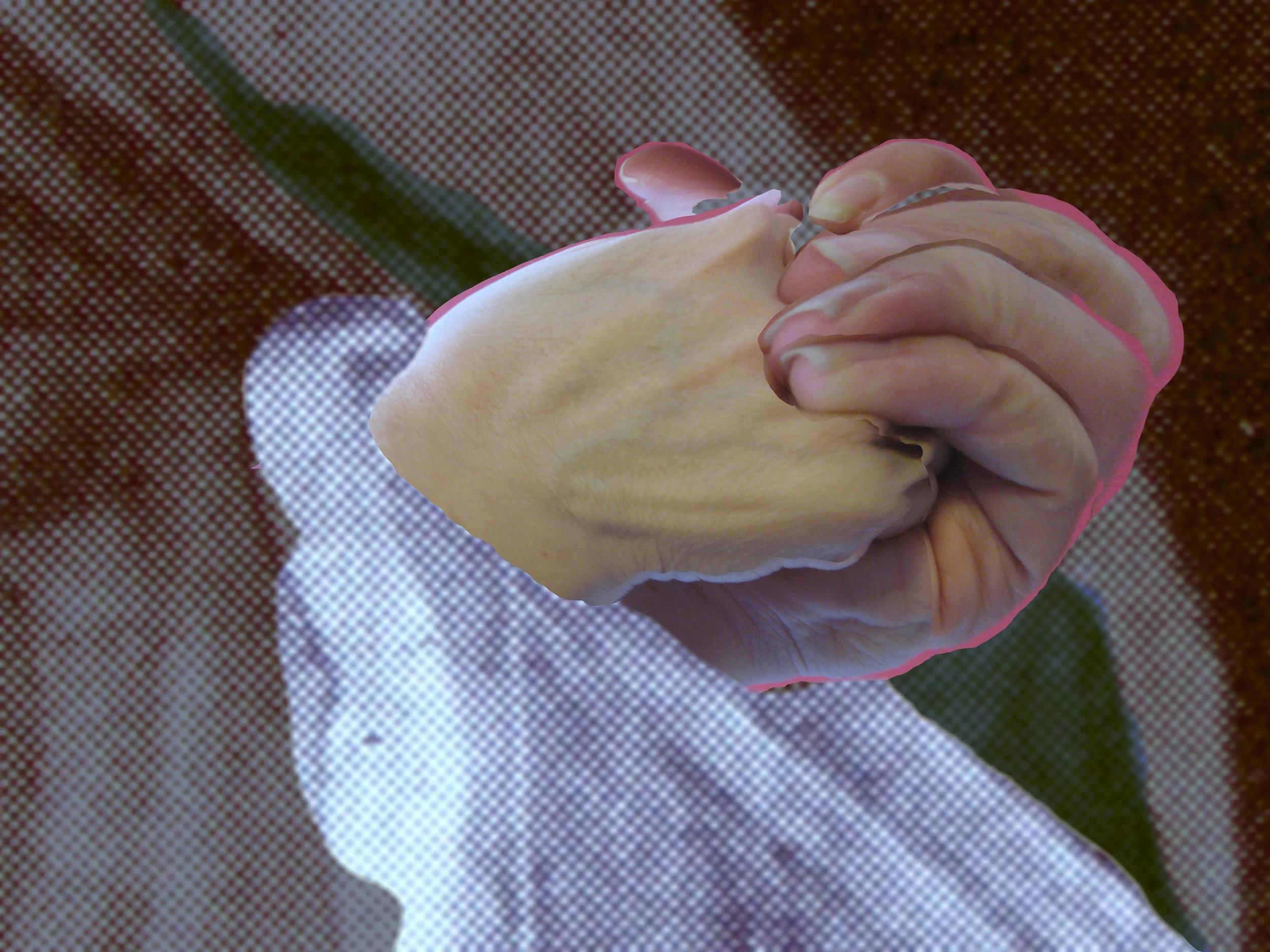 Envelop, 2013