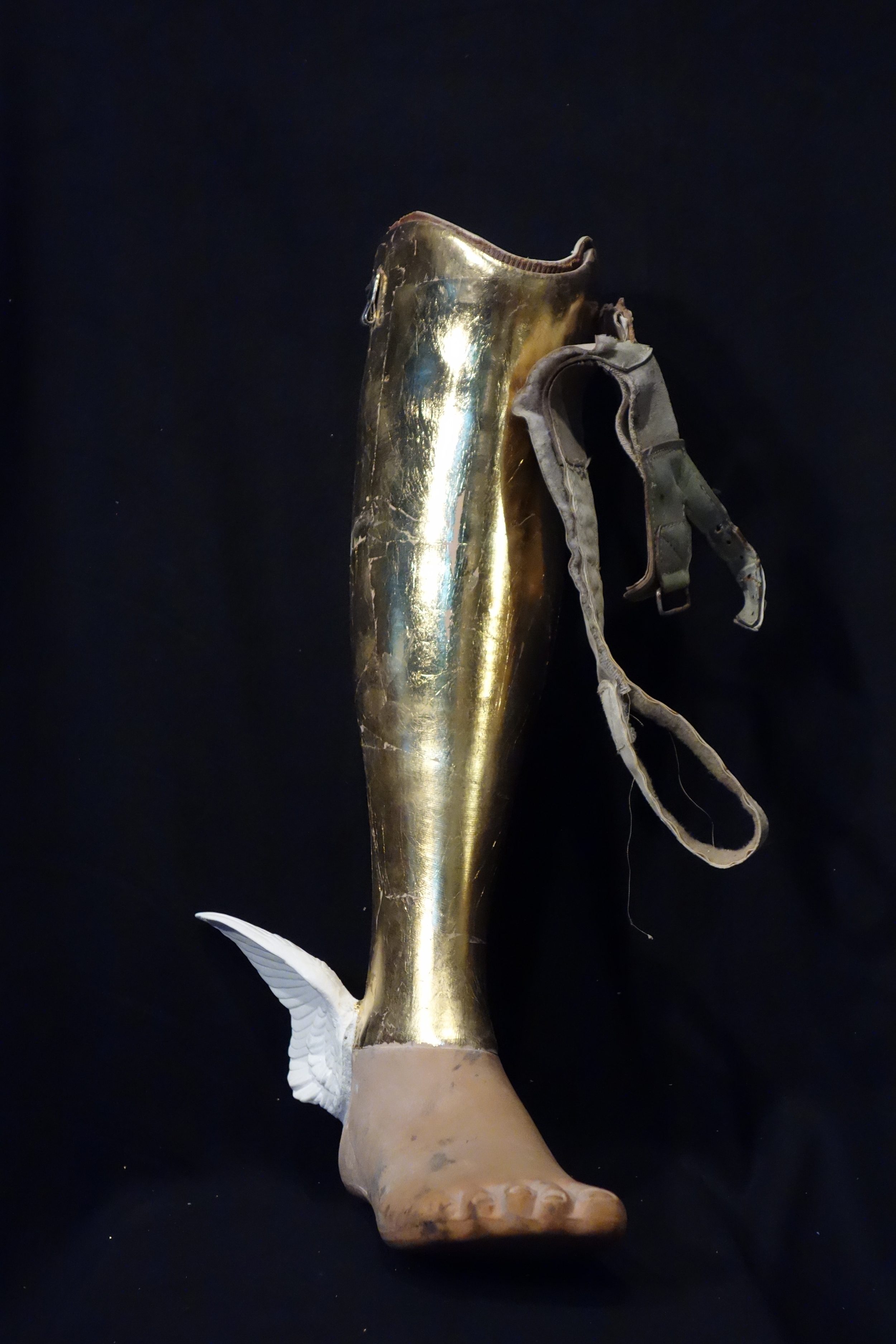 Golden Calf, 2014, gilded prosthetic leg and plaster, 22x15x6 inches