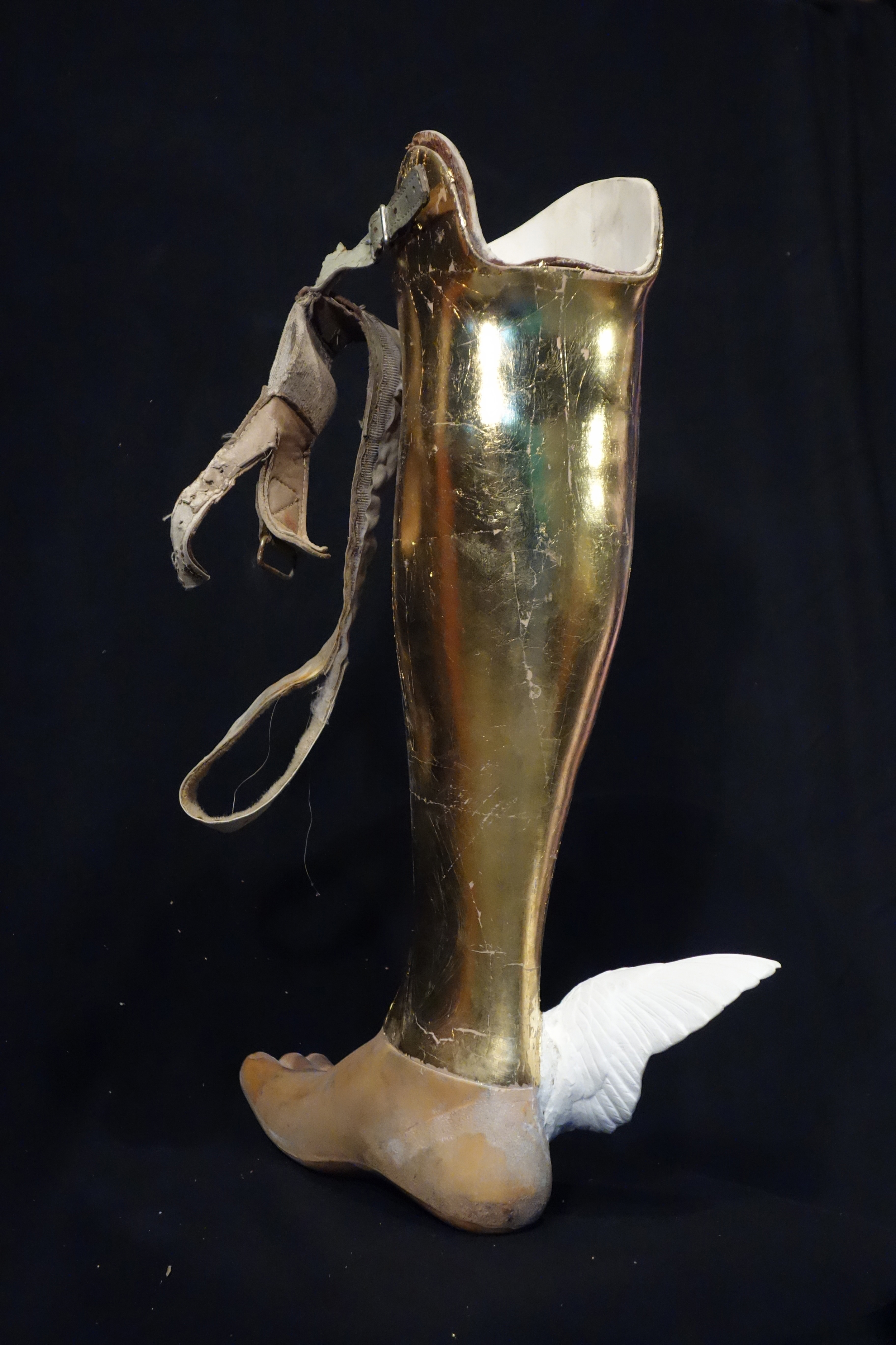 Golden Calf, 2014, gilded prosthetic leg and plaster, 22x15x6 inches