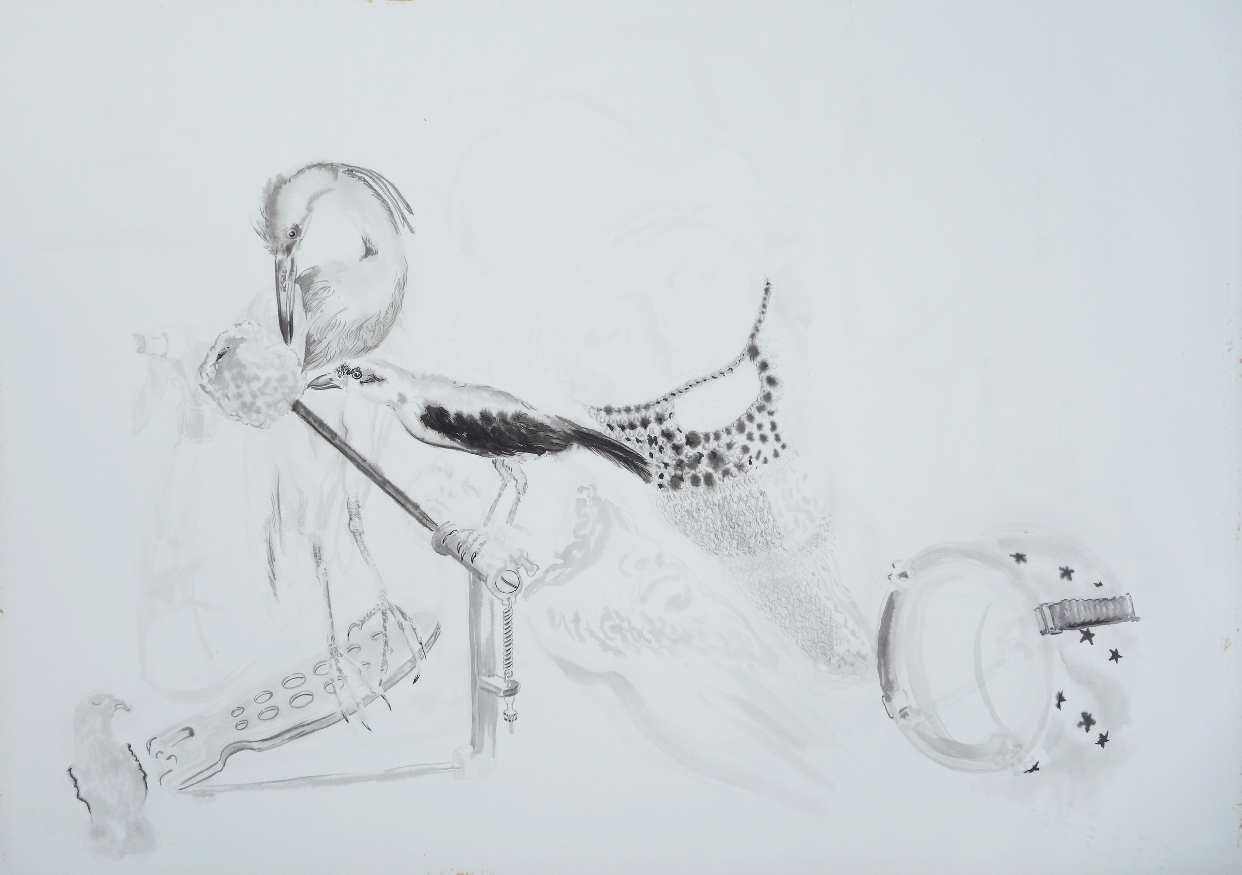 Untitled(Birds and Knit Beard)