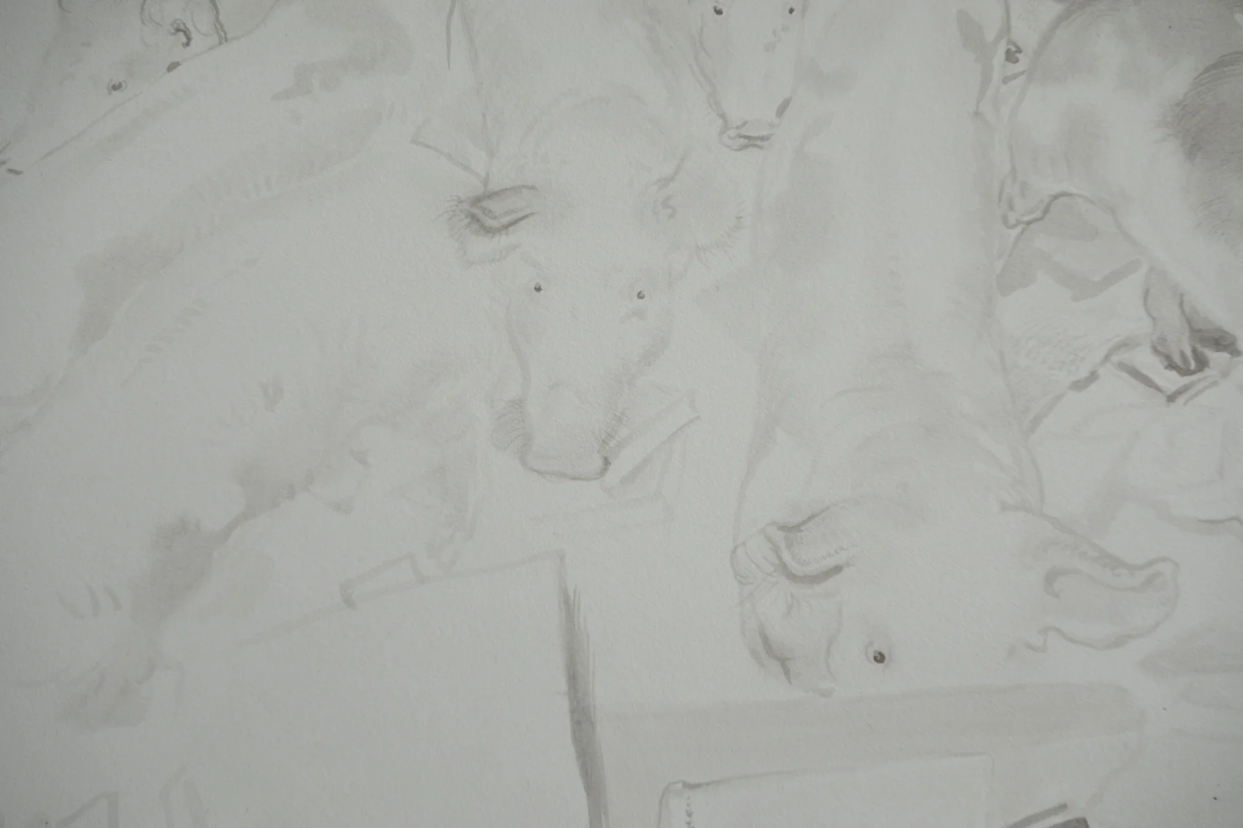 The Pen III, 2013 (detail)
