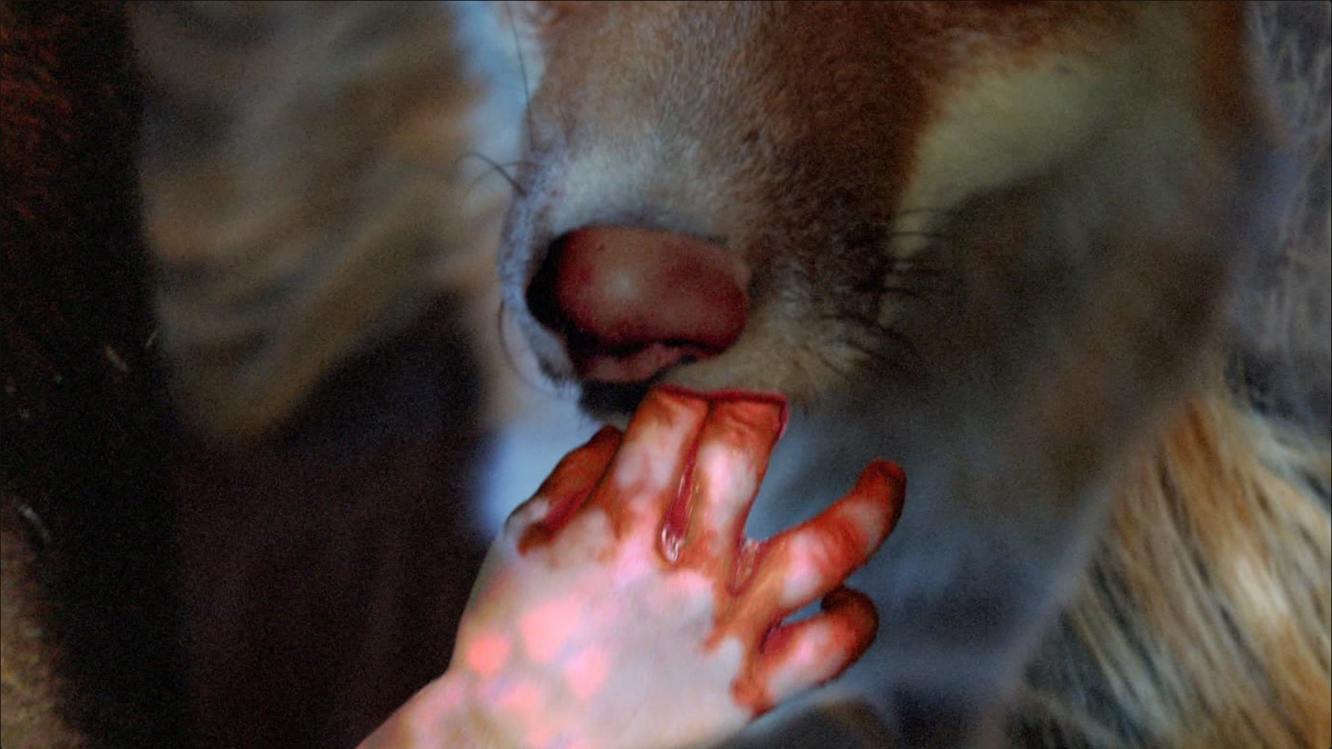 gumiho hand mouth.jpg