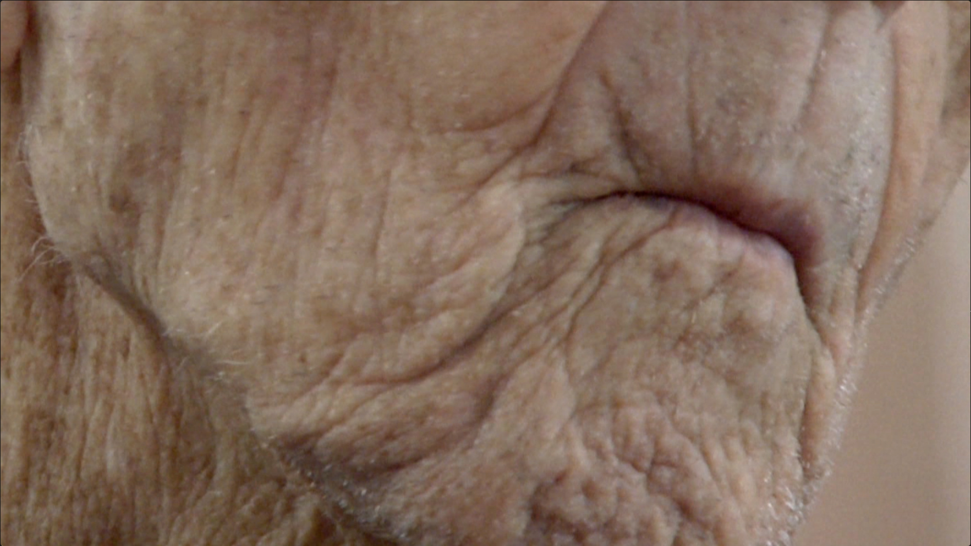 master's mouth.jpg