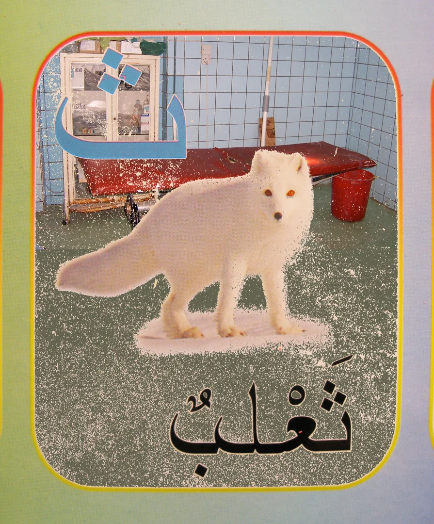4. snow fox flat.jpg