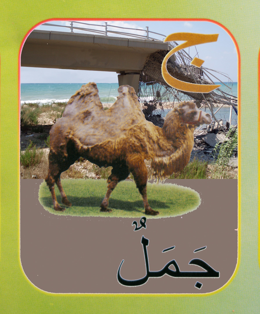 5. camel flat.jpg