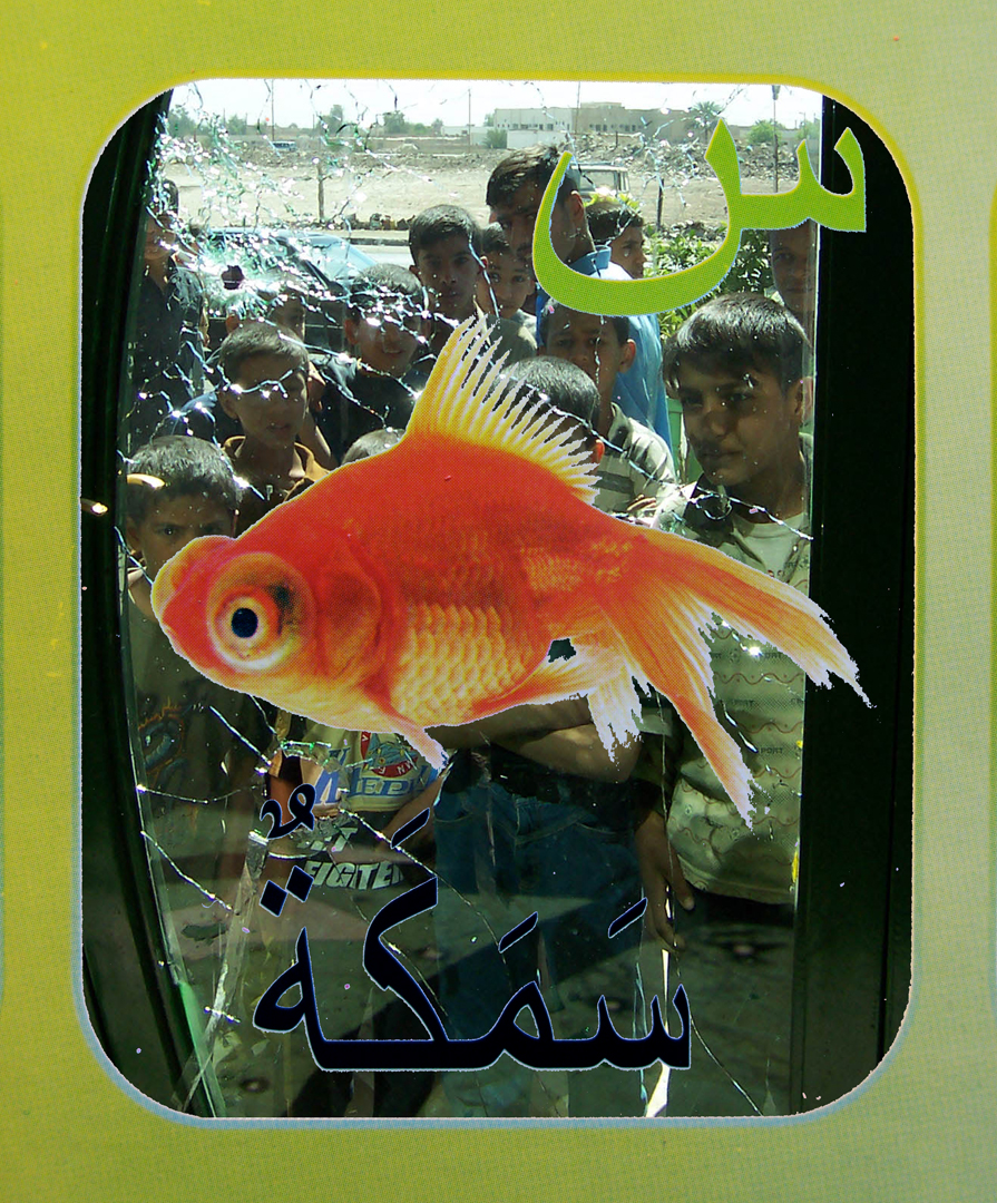 12. goldfish flat.jpg