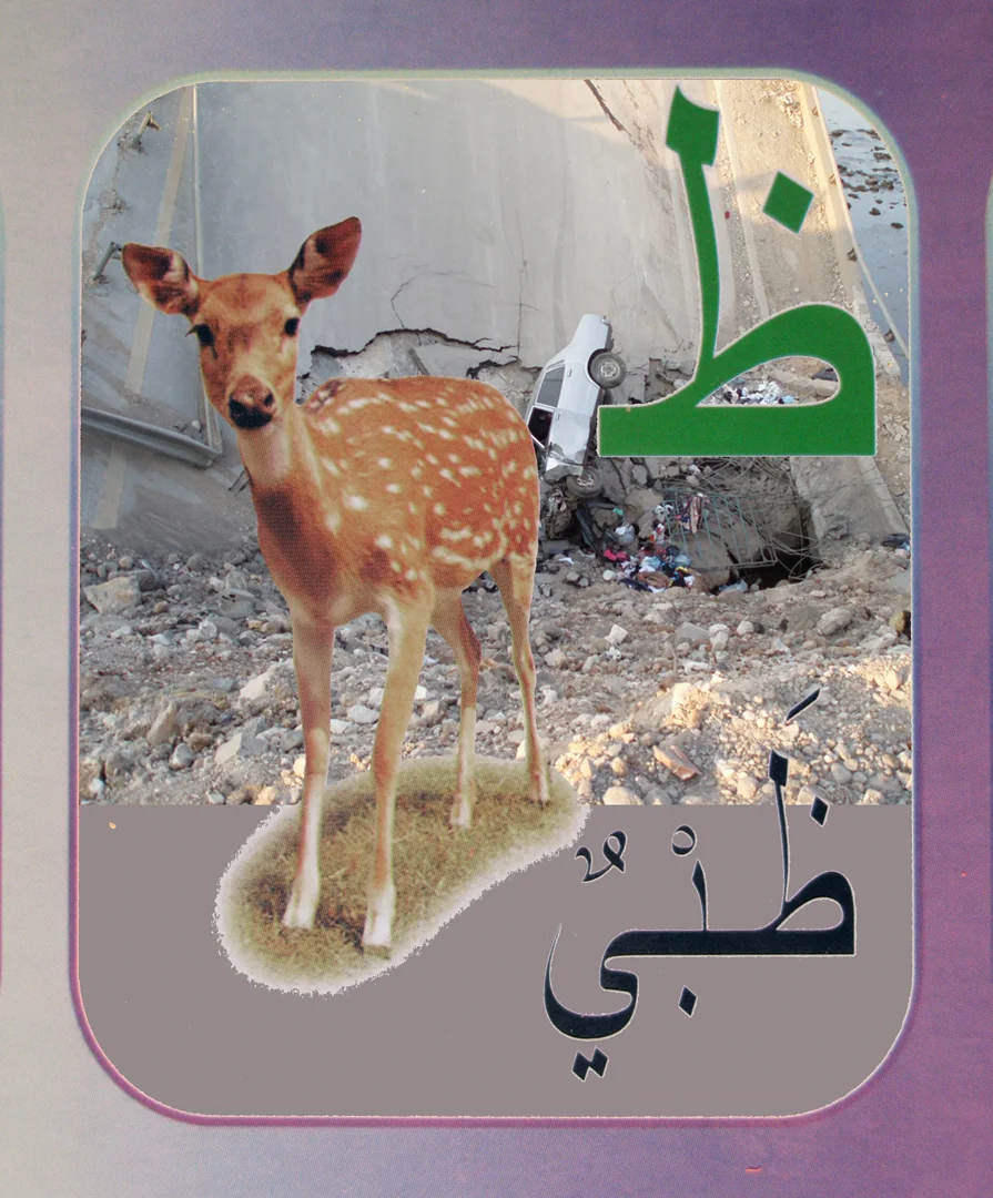 17. fawn flat.jpg