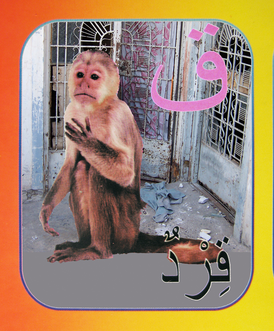 21. monkey flat.jpg