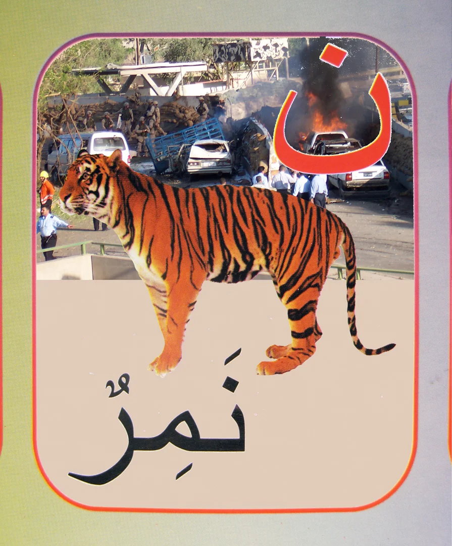 25. tiger flat.jpg